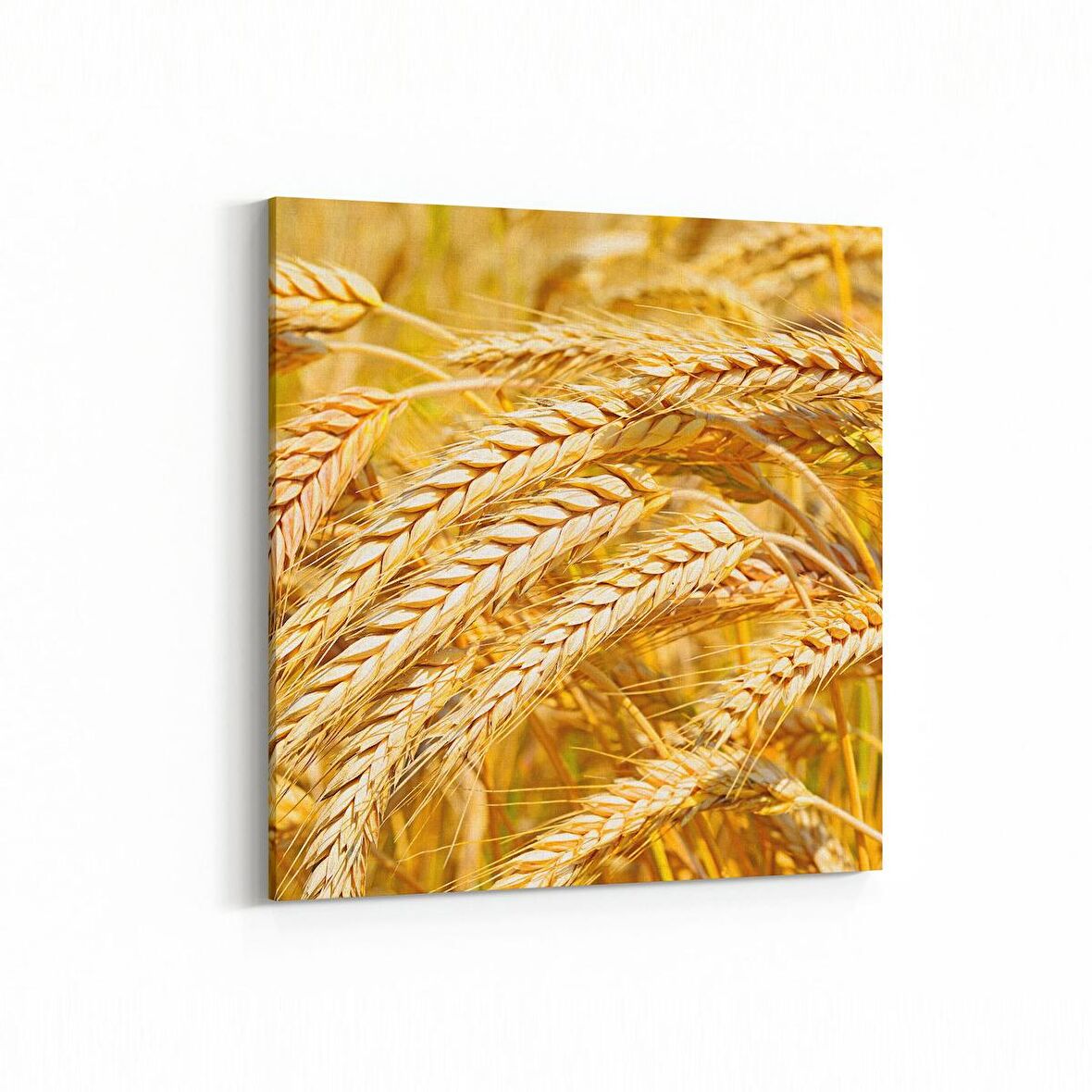 Olla 15127K Gıda Görseli Kare Kanvas Tablo (Ölçü: 25X25)