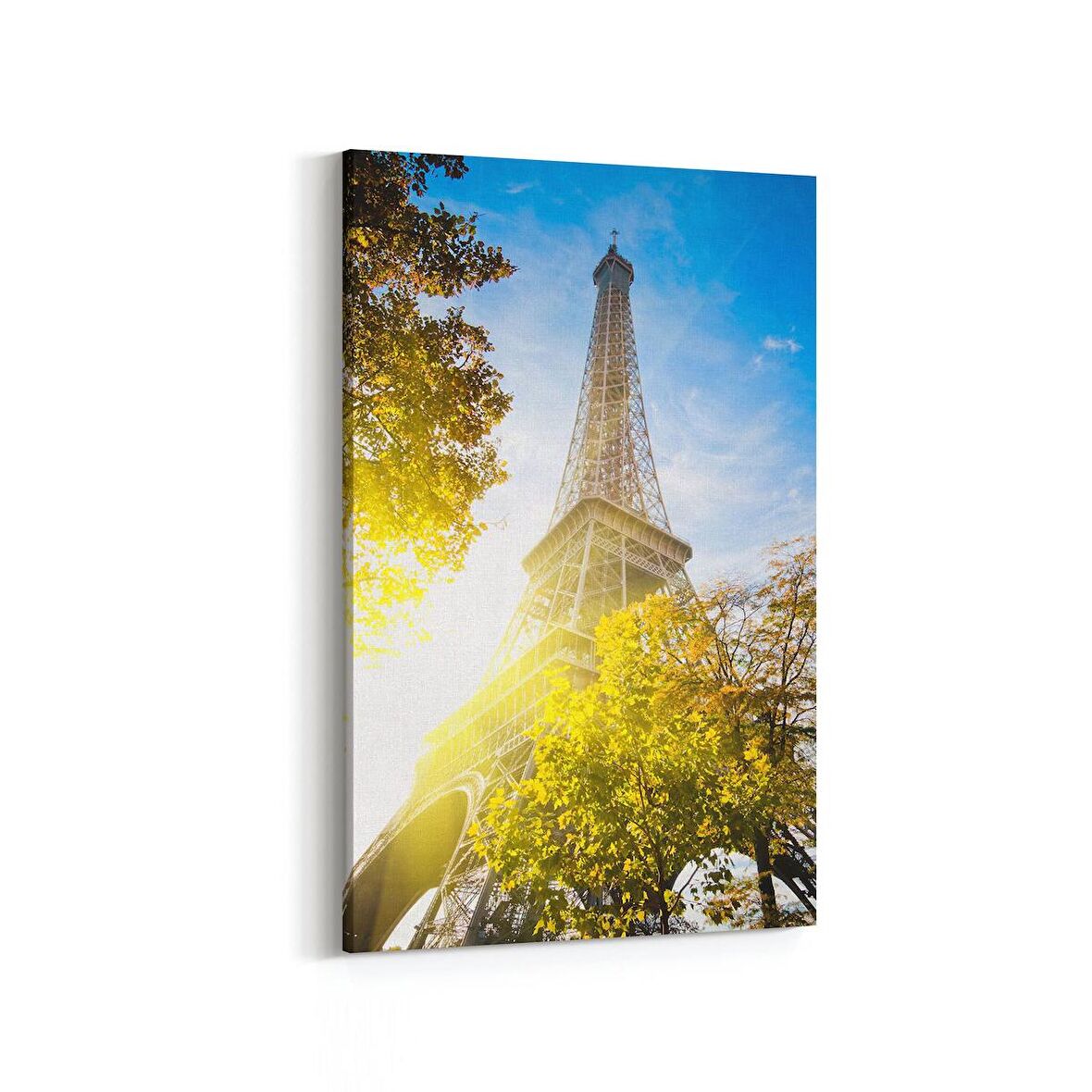 Olla 18795D Yapı Görseli Dikey Kanvas Tablo (Ölçü: 60X90)