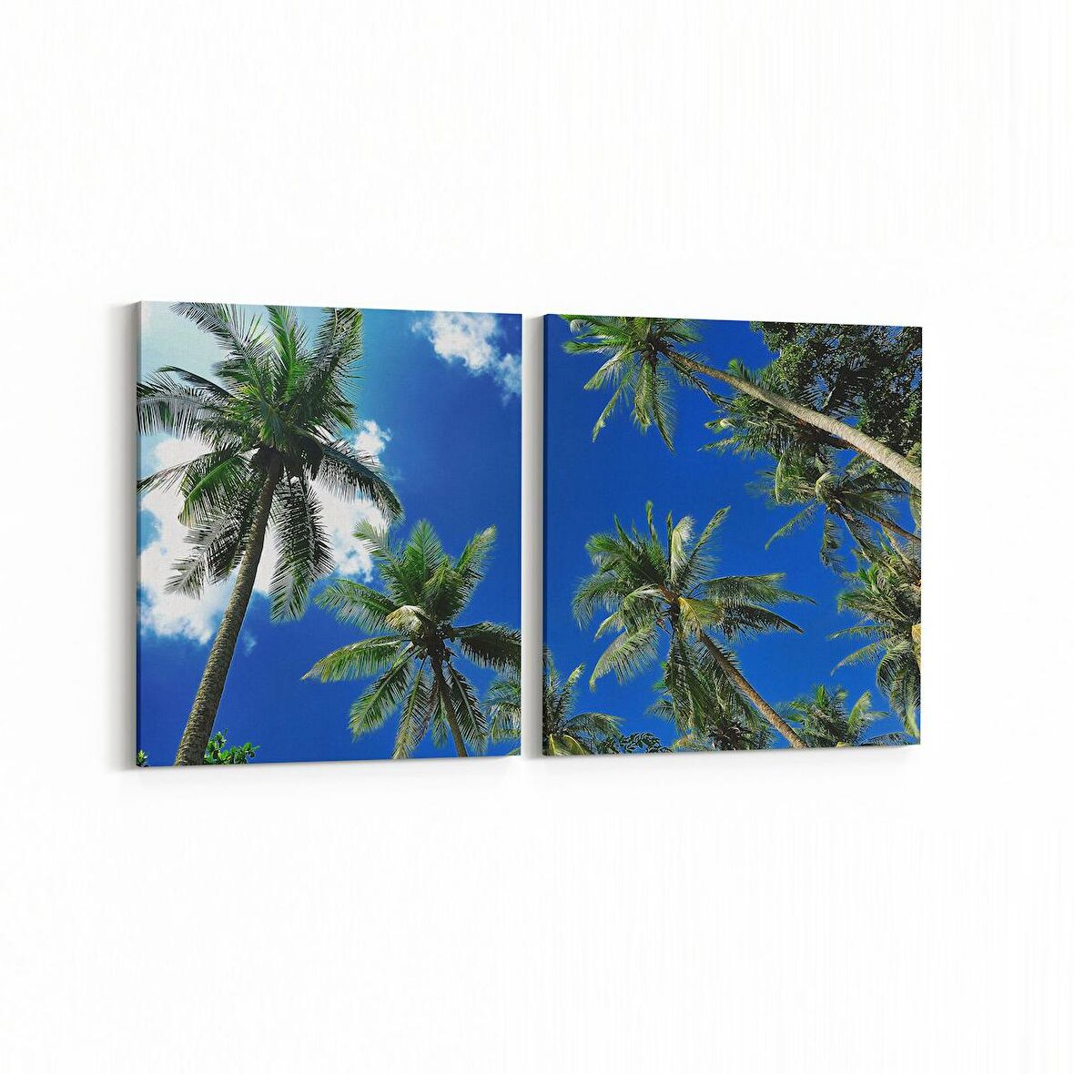 Olla 11533K2Y Palmiye Ağacı Görseli Kare 2'li Yatay Kanvas Tablo (Ölçü: 65X30)