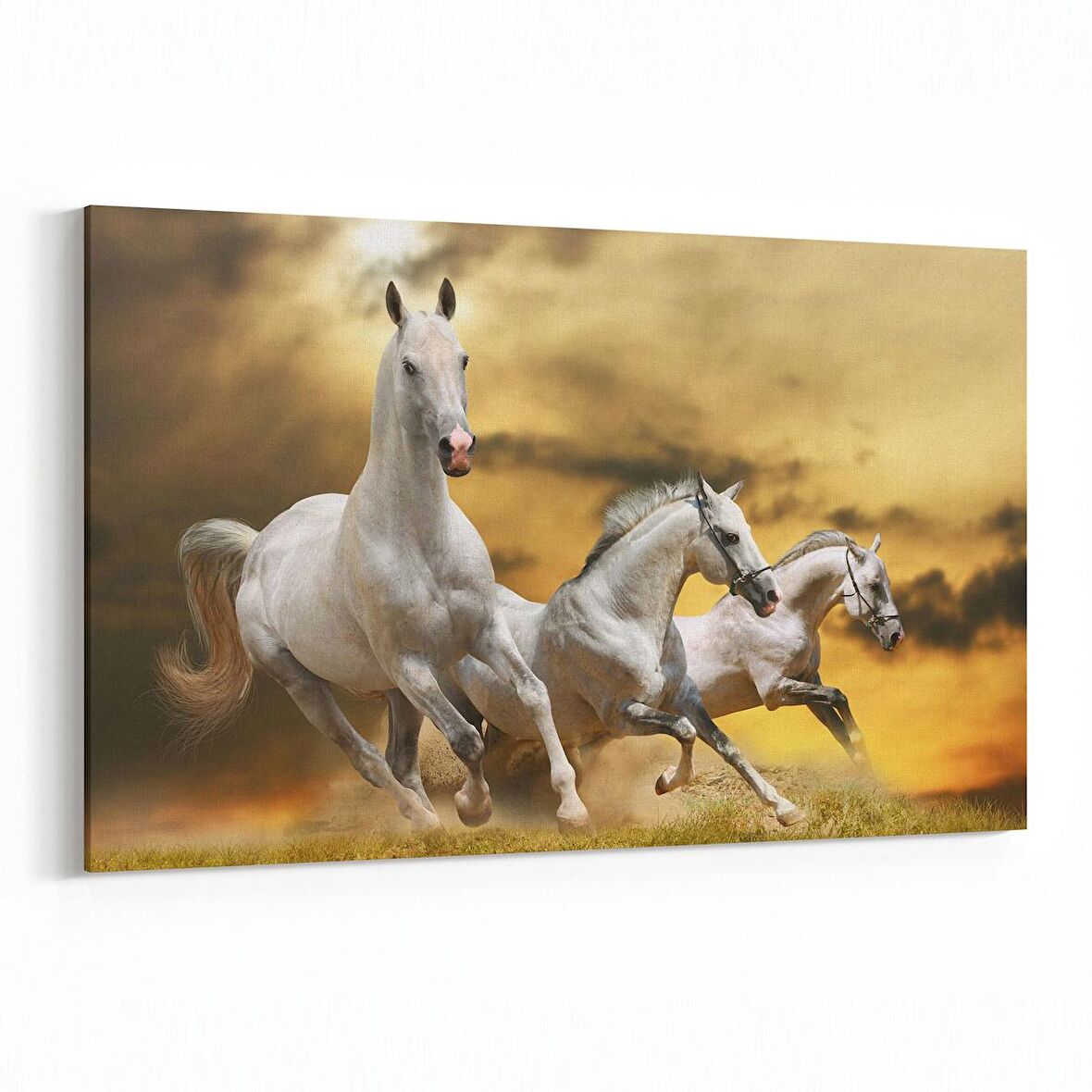 Olla 12690Y Hayvanlar Alemi Görseli Yatay Kanvas Tablo (Ölçü: 90X60)