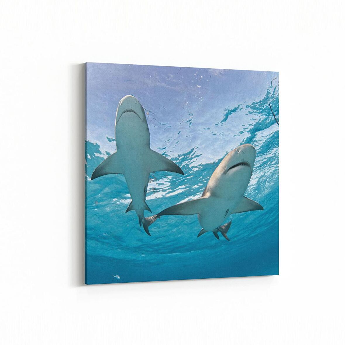 Olla 12953K Deniz / Okyanus Görseli Kare Kanvas Tablo (Ölçü: 25X25)