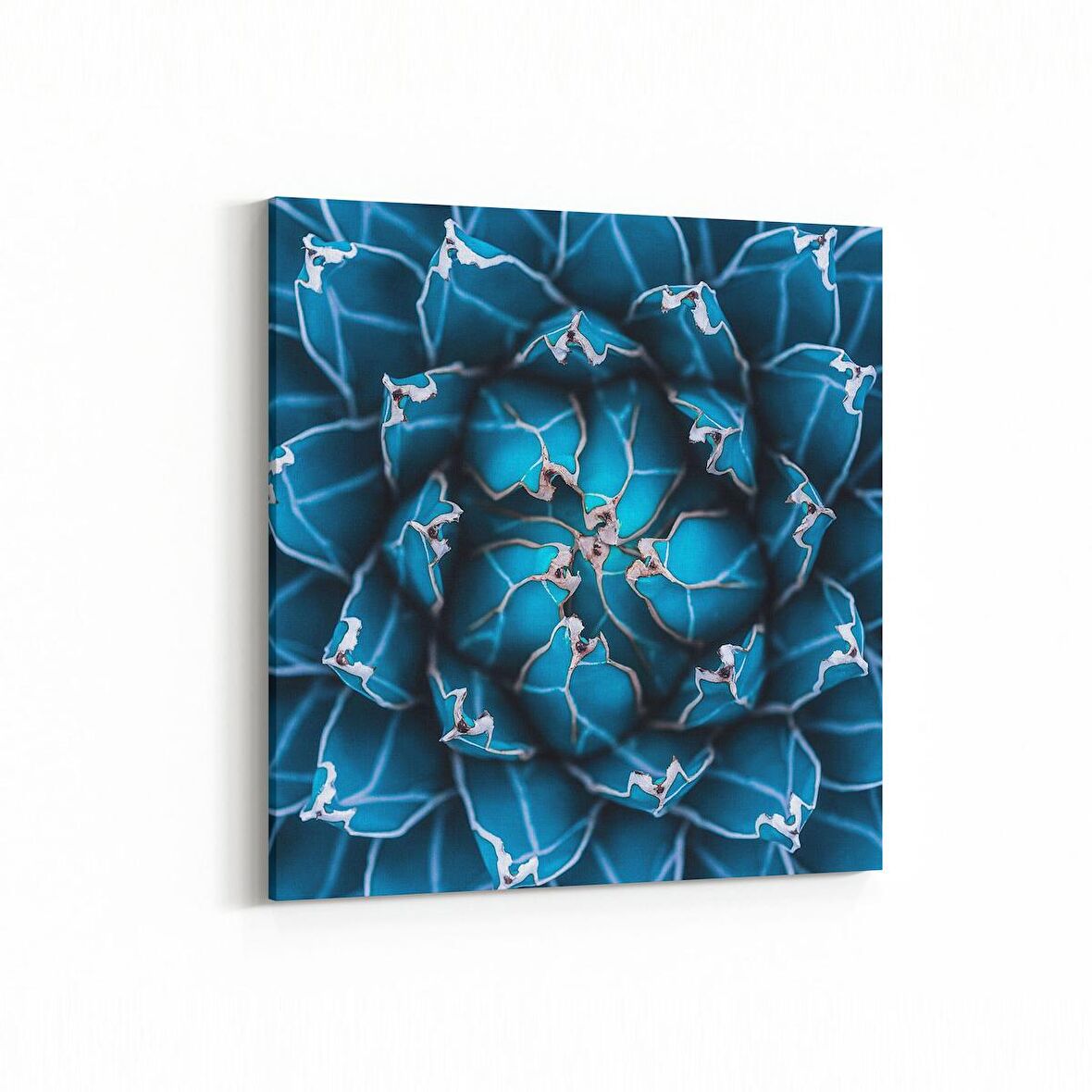 Olla 10061K Abstract Görsel Kare Kanvas Tablo (Ölçü: 25X25)