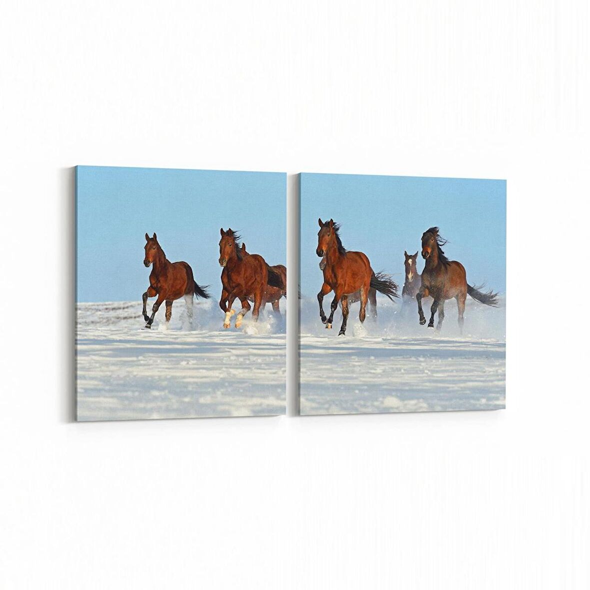 Olla 12519K2Y Hayvanlar Alemi Görseli Kare 2'li Yatay Kanvas Tablo (Ölçü: 85X40)