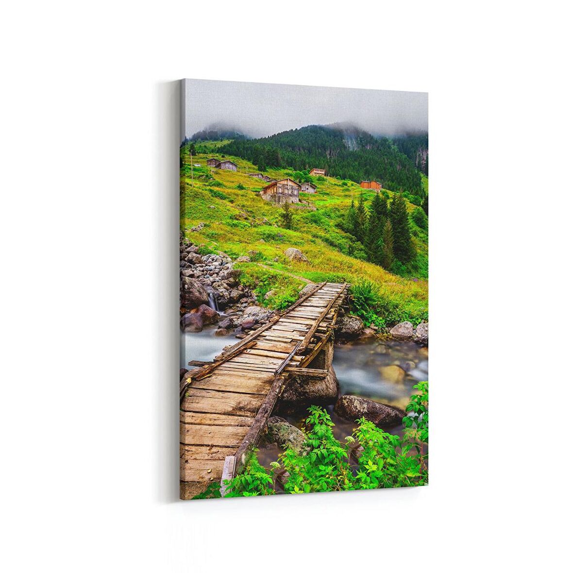 Olla 13449D Doğa / Manzara Görseli Dikey Kanvas Tablo (Ölçü: 60X90)