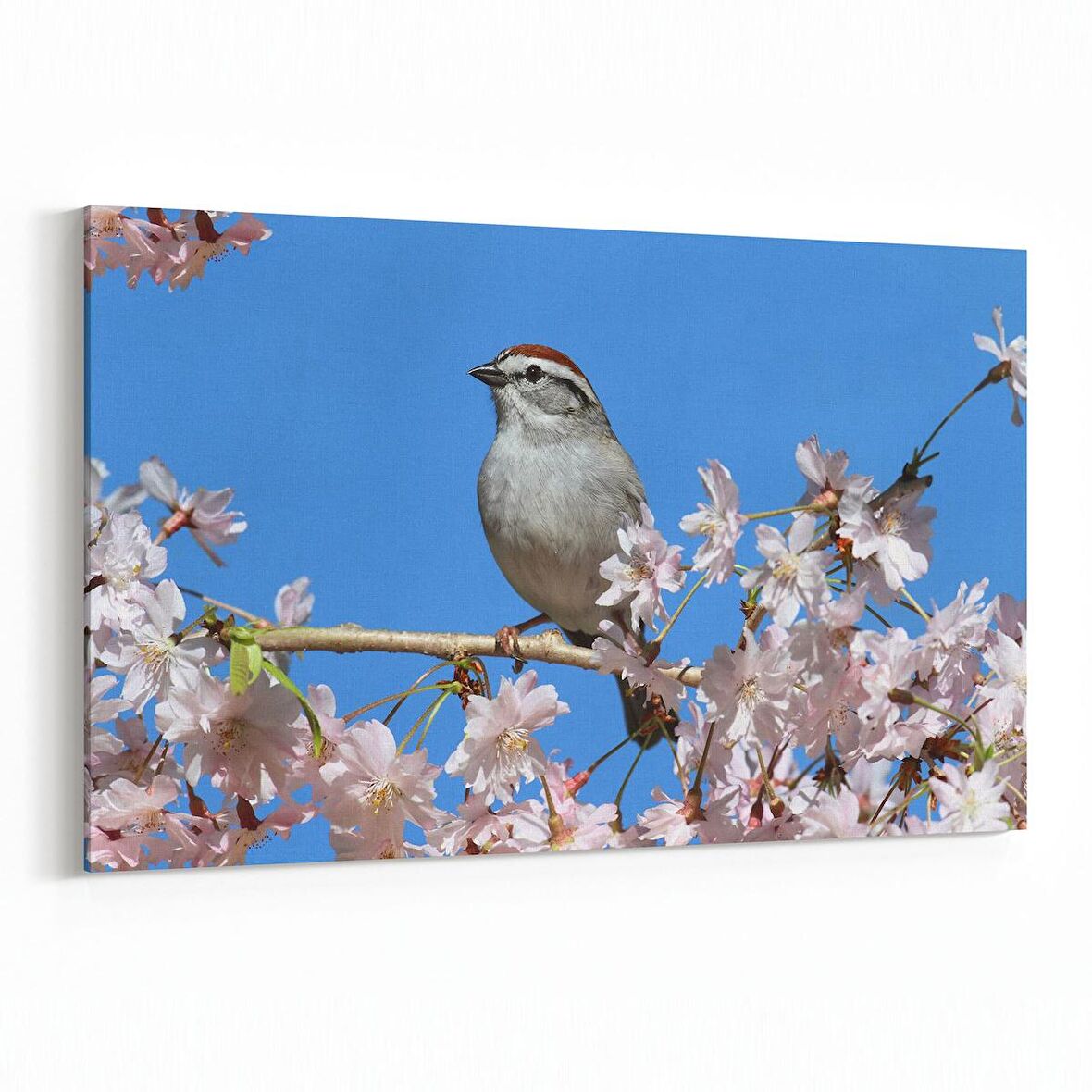 Olla 10902Y Ağaç Görseli Yatay Kanvas Tablo (Ölçü: 150X100)