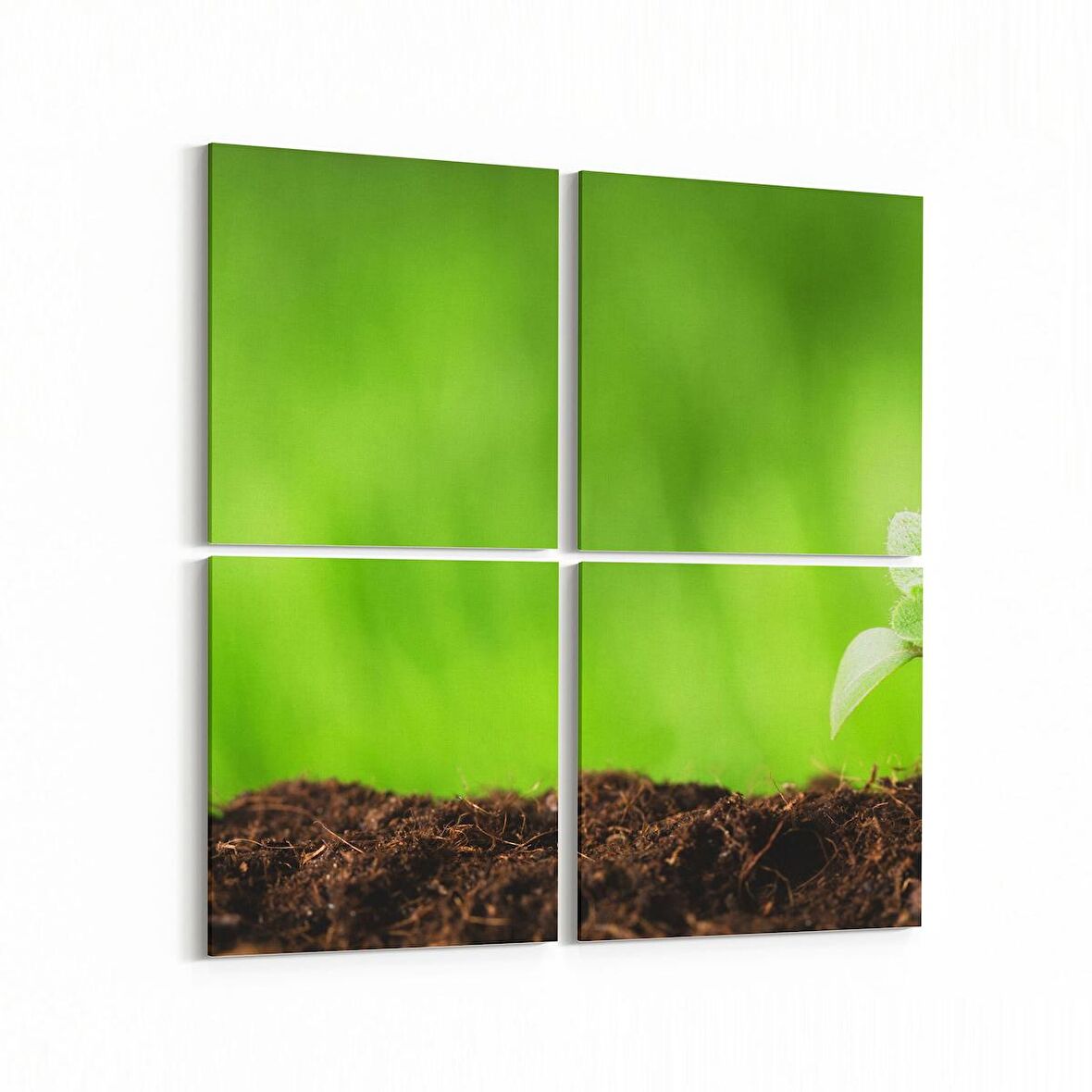 Olla 14287K4 Doğa / Manzara Görseli Kare 4'lü Kanvas Tablo (Ölçü: 65X65)