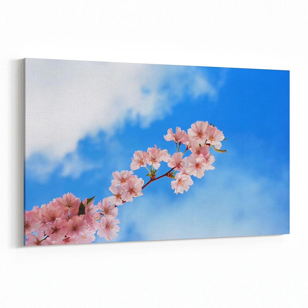 Olla 10761Y Ağaç Görseli Yatay Kanvas Tablo (Ölçü: 90X60)