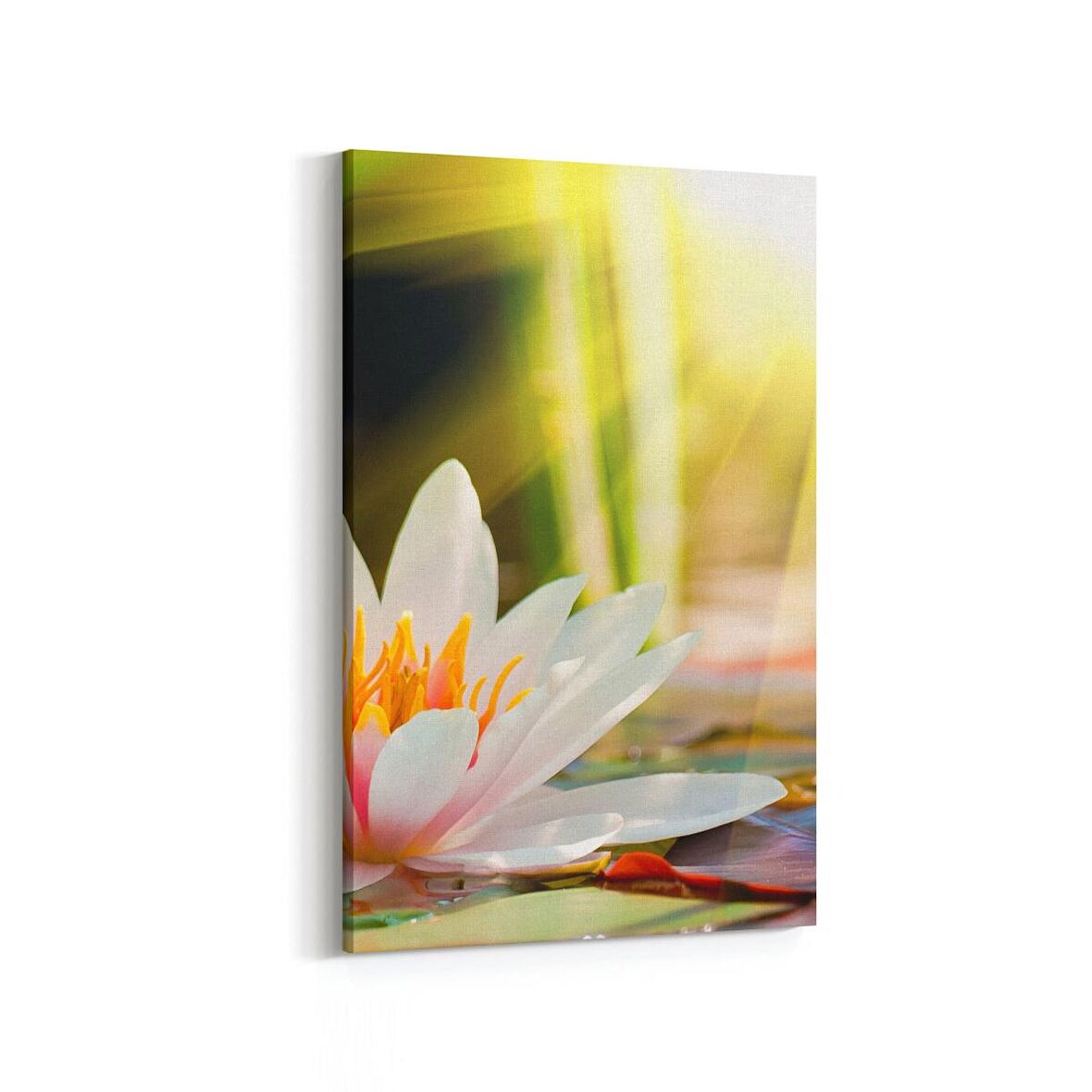 Olla 17043D Spa / Masaj Görseli Dikey Kanvas Tablo (Ölçü: 60X90)