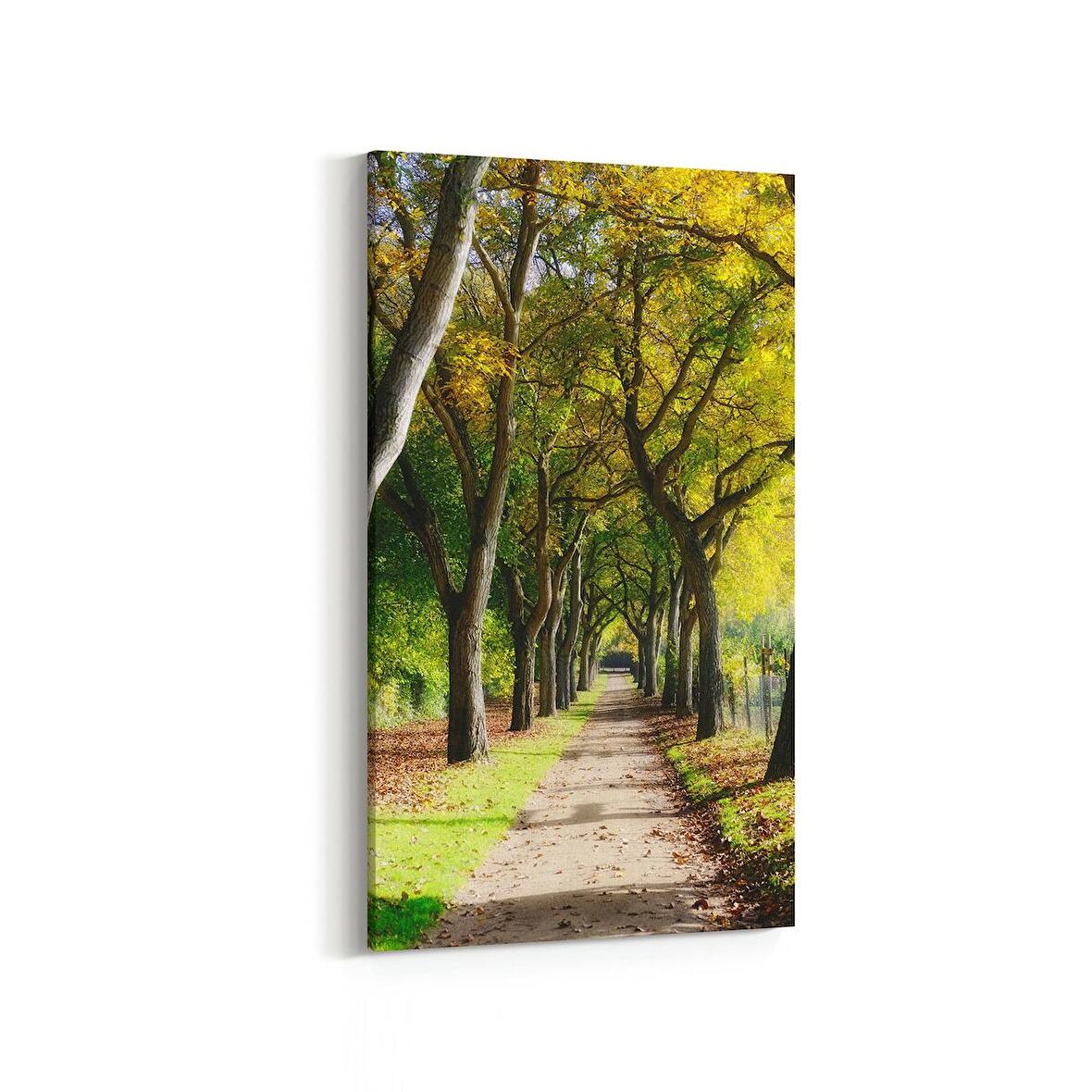 Olla 13394DD Doğa / Manzara Görseli Dikey Dar Kanvas Tablo (Ölçü: 60X120)