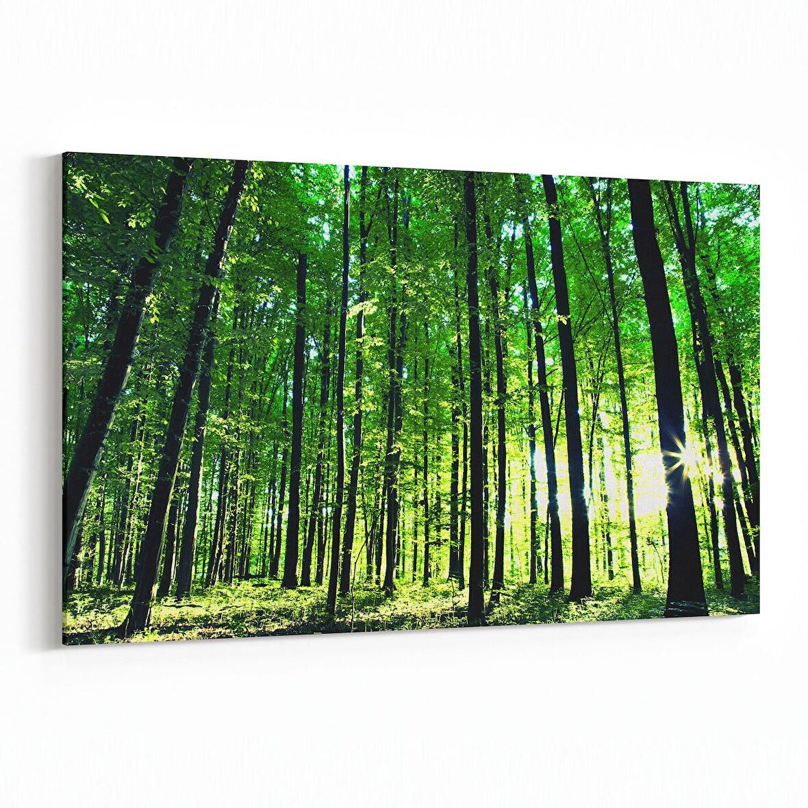 Olla 13364Y Doğa / Manzara Görseli Yatay Kanvas Tablo (Ölçü: 30X20)