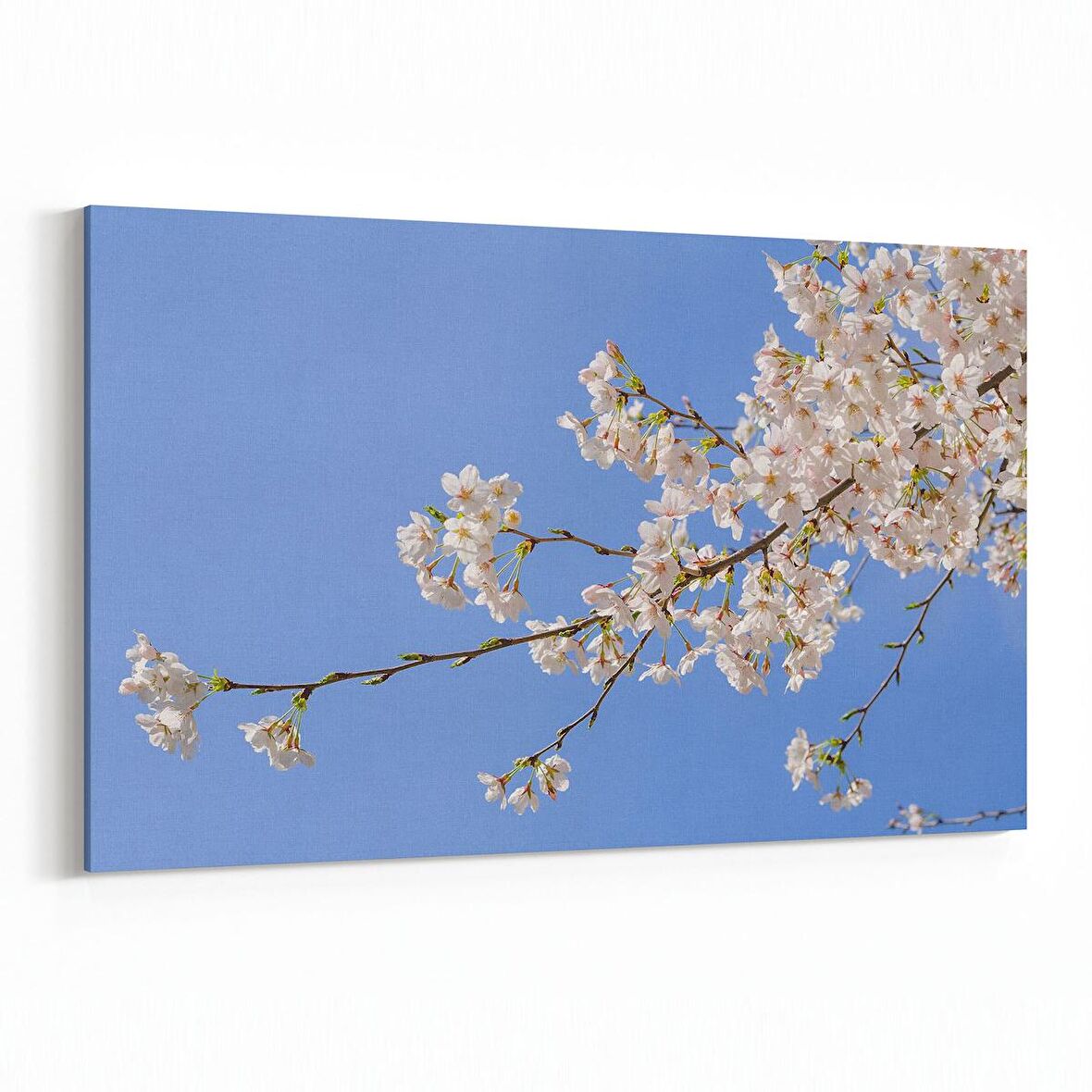 Olla 10670Y Ağaç Görseli Yatay Kanvas Tablo (Ölçü: 90X60)