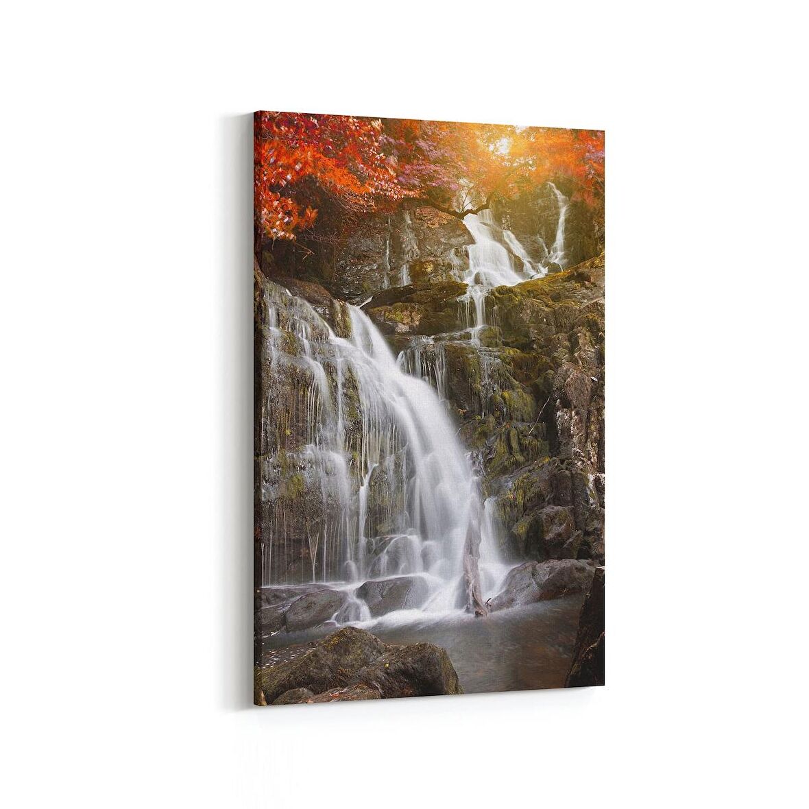 Olla 14596D Doğa / Manzara Görseli Dikey Kanvas Tablo (Ölçü: 20X30)