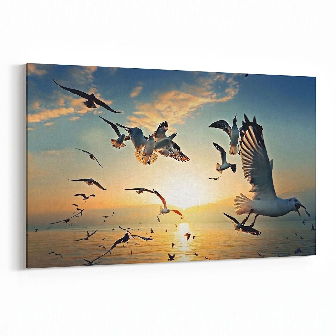 Olla 12485Y Hayvanlar Alemi Görseli Yatay Kanvas Tablo (Ölçü: 45X30)