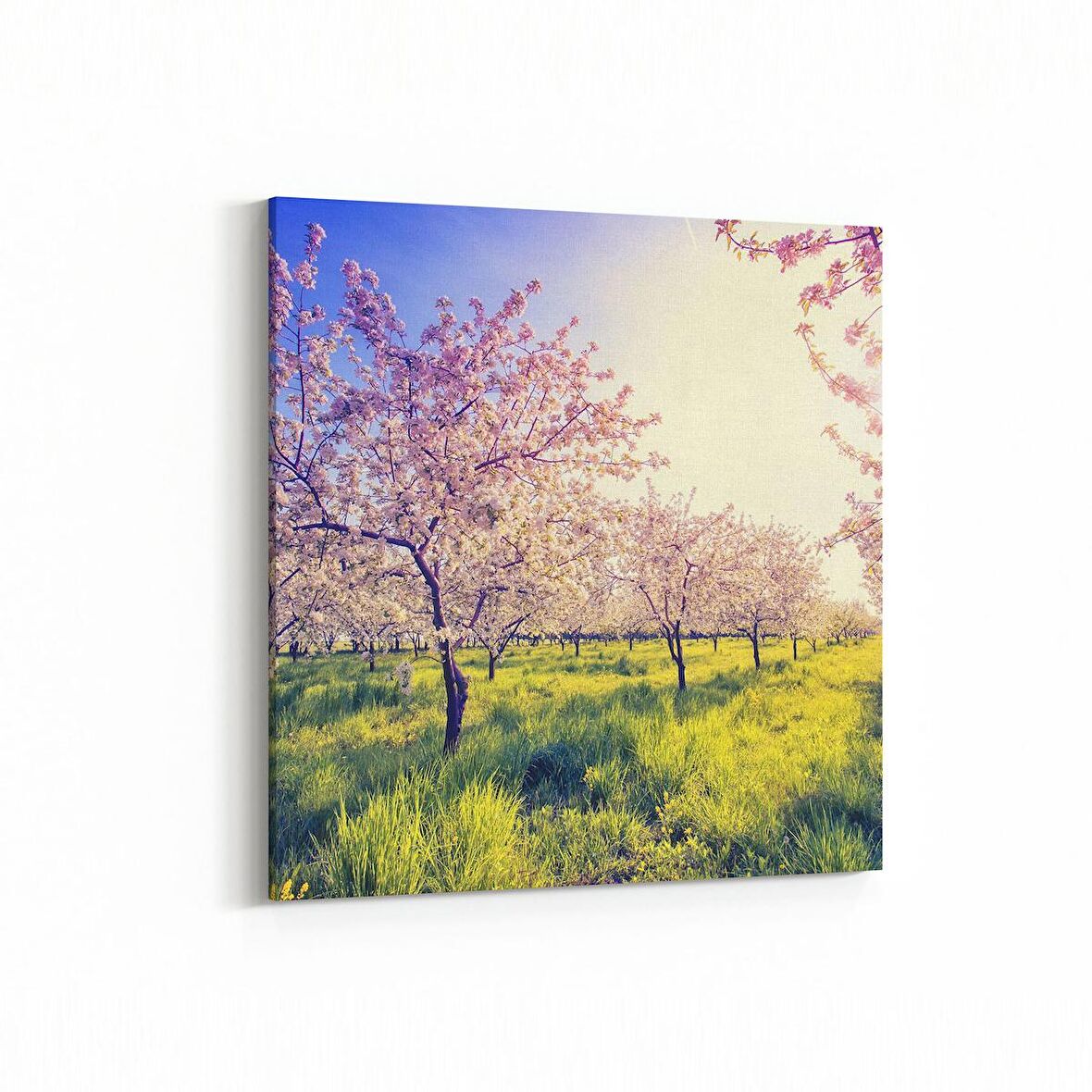 Olla 13706K Doğa / Manzara Görseli Kare Kanvas Tablo (Ölçü: 30X30)