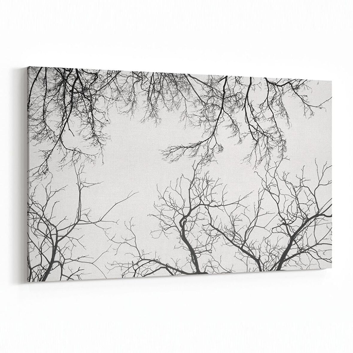 Olla 10525Y Ağaç Görseli Yatay Kanvas Tablo (Ölçü: 120X80)