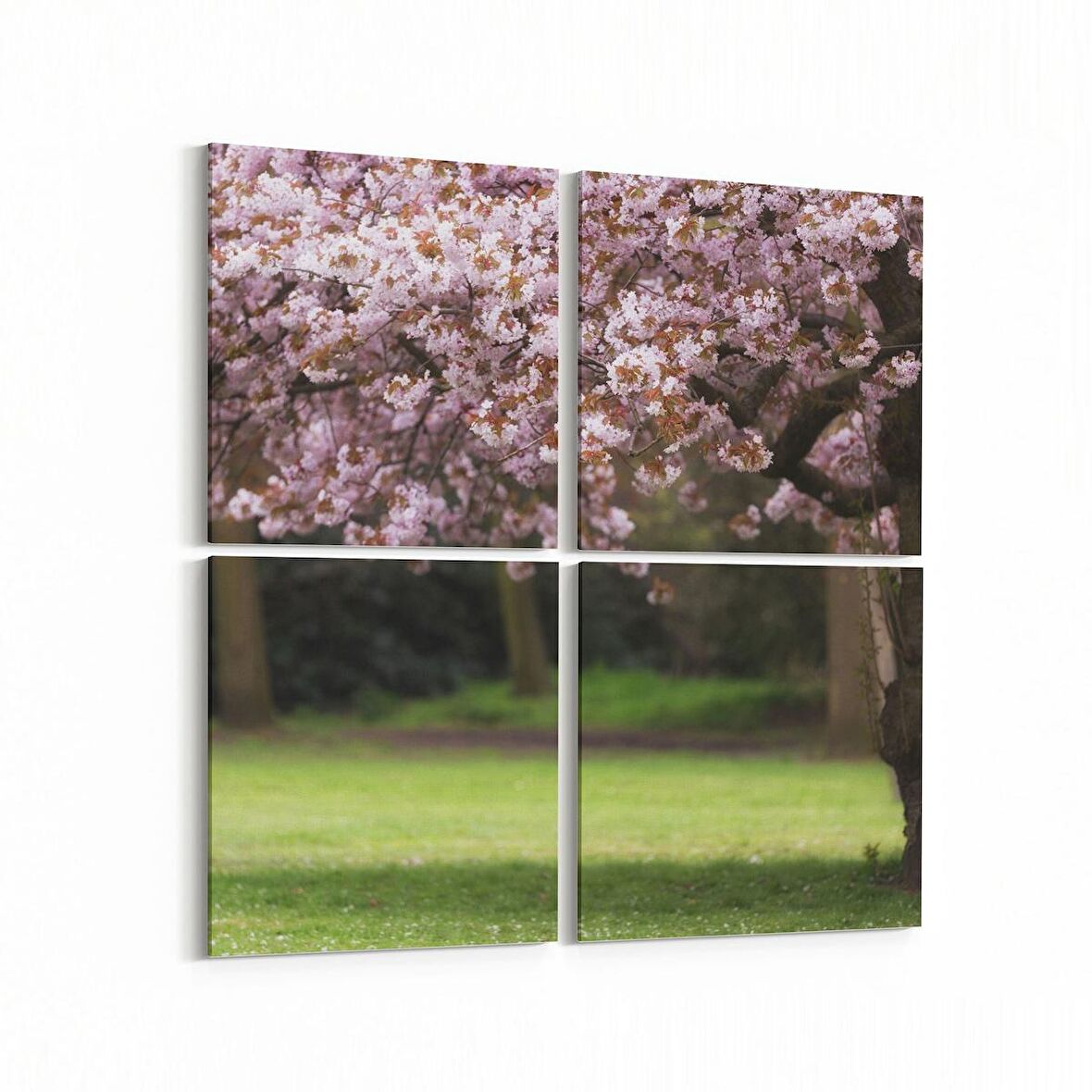 Olla 13444K4 Doğa / Manzara Görseli Kare 4'lü Kanvas Tablo (Ölçü: 125X125)