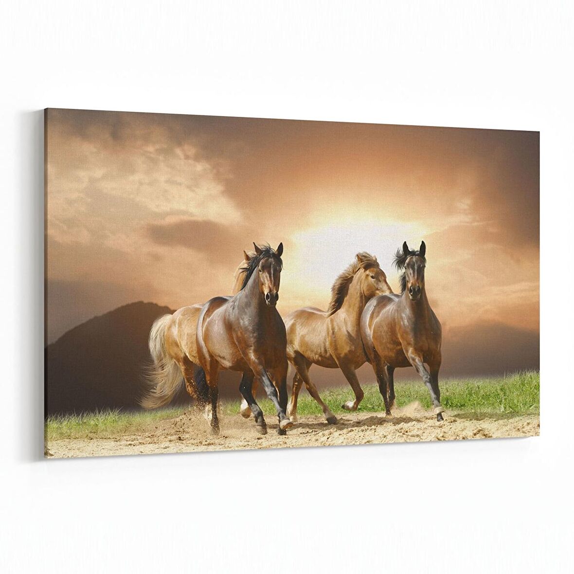 Olla 12488Y Hayvanlar Alemi Görseli Yatay Kanvas Tablo (Ölçü: 120X80)