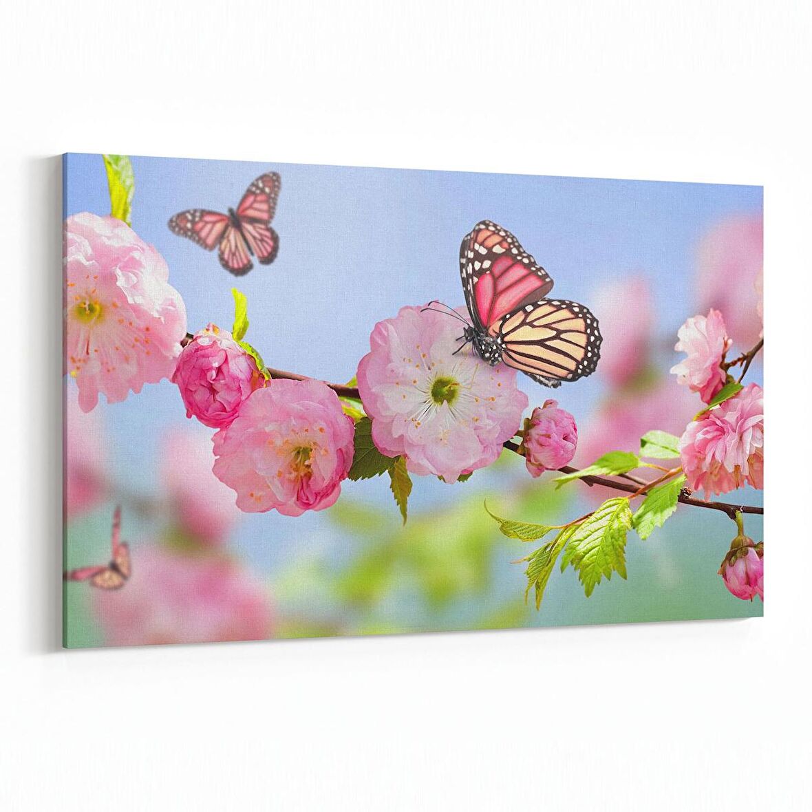 Olla 11657Y Orkide Çiçek Görseli Yatay Kanvas Tablo (Ölçü: 45X30)