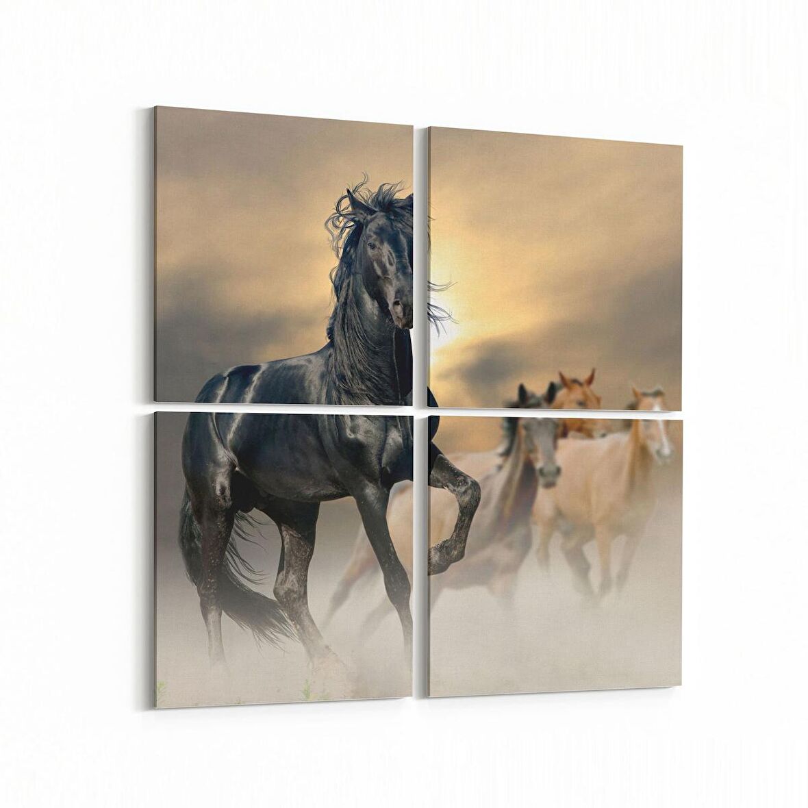 Olla 12545K4 Hayvanlar Alemi Görseli Kare 4'lü Kanvas Tablo (Ölçü: 145X145)