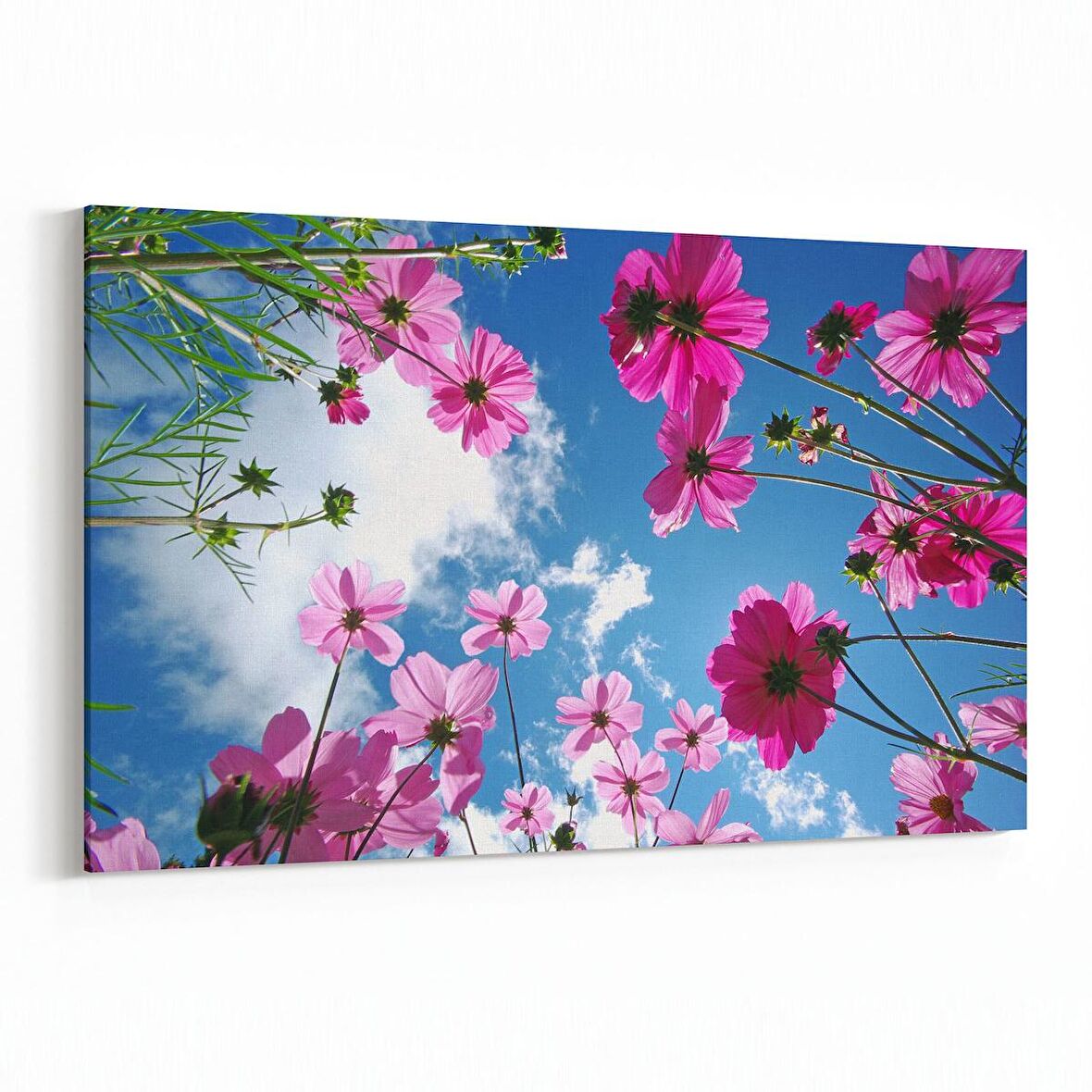 Olla 10533Y Ağaç Görseli Yatay Kanvas Tablo (Ölçü: 45X30)