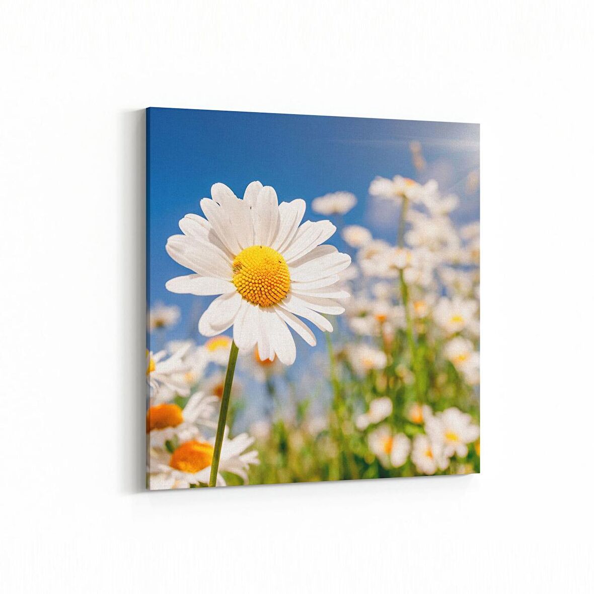 Olla 13543K Doğa / Manzara Görseli Kare Kanvas Tablo (Ölçü: 25X25)