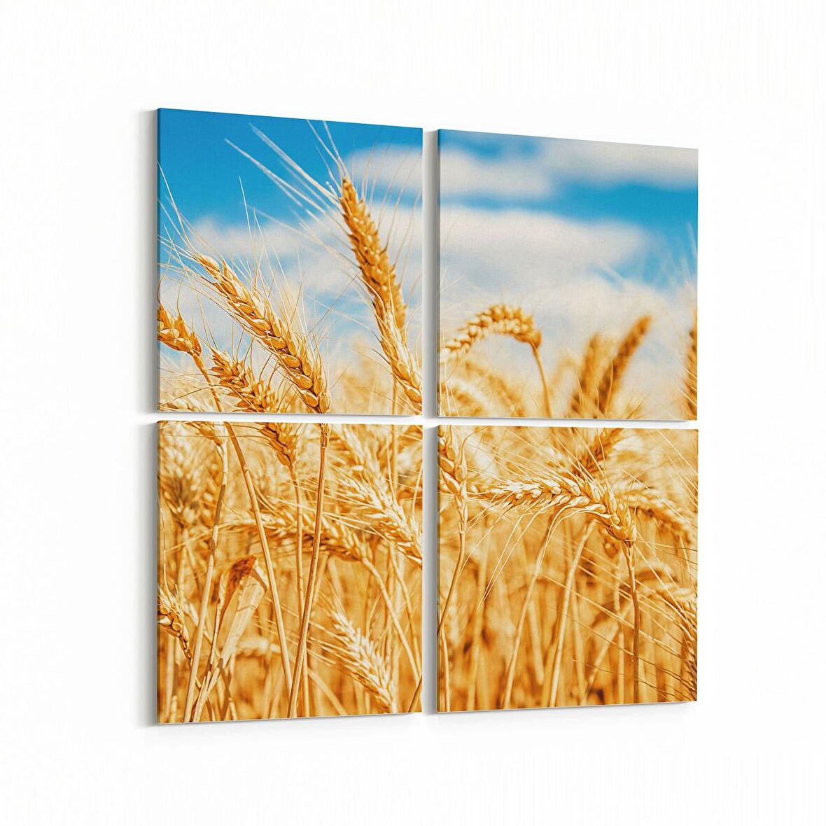 Olla 13295K4 Doğa / Manzara Görseli Kare 4'lü Kanvas Tablo (Ölçü: 145X145)