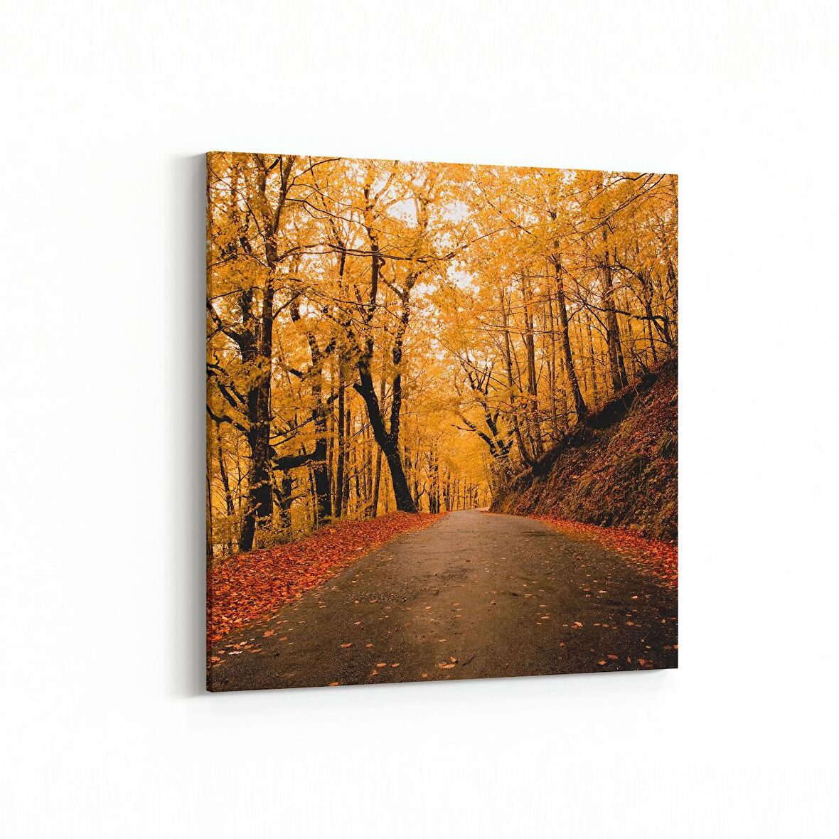 Olla 14330K Doğa / Manzara Görseli Kare Kanvas Tablo (Ölçü: 25X25)