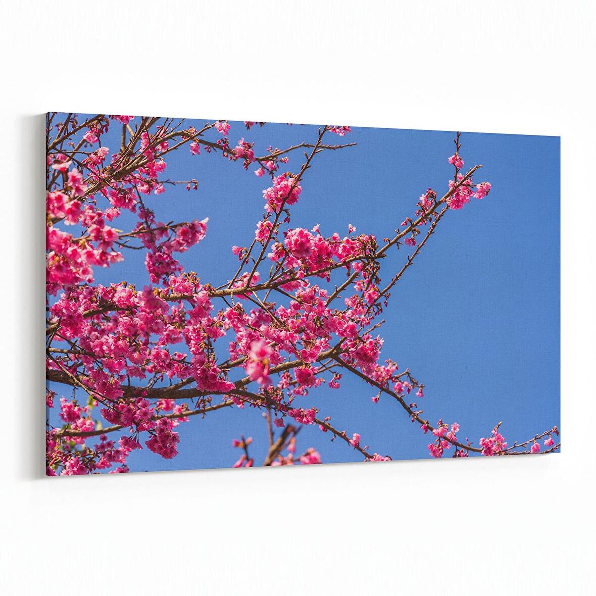 Olla 10814Y Ağaç Görseli Yatay Kanvas Tablo (Ölçü: 45X30)