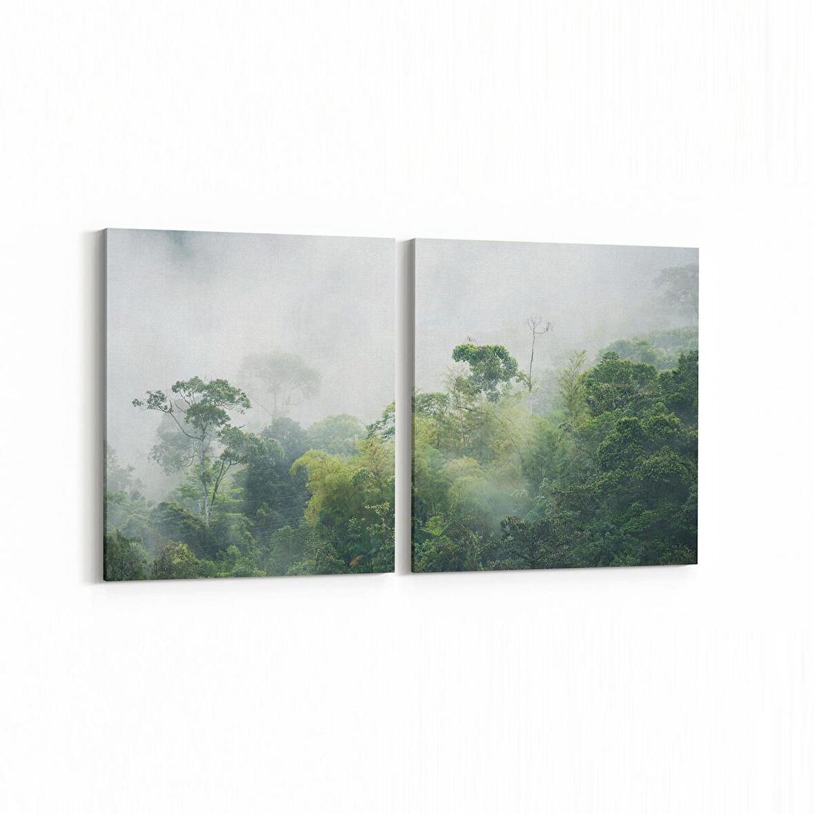 Olla 14086K2Y Doğa / Manzara Görseli Kare 2'li Yatay Kanvas Tablo (Ölçü: 85X40)