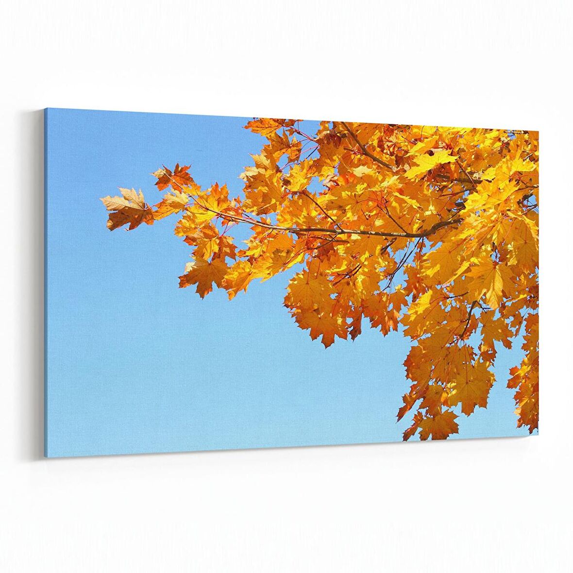 Olla 10804Y Ağaç Görseli Yatay Kanvas Tablo (Ölçü: 30X20)