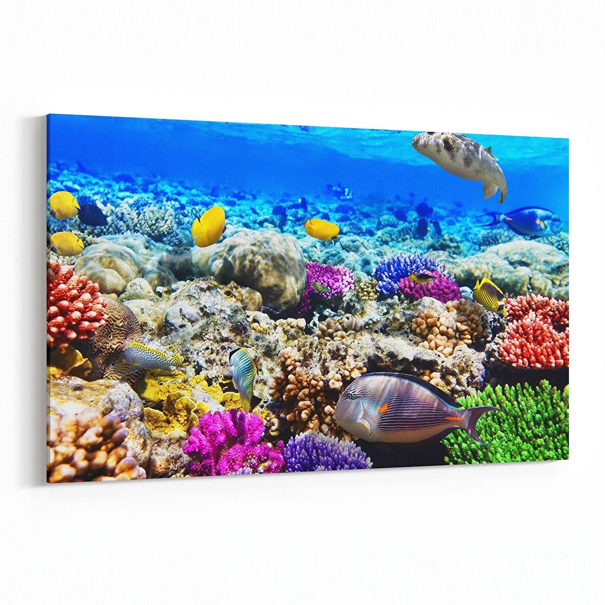 Olla 12072Y Akvaryum / Balık Görseli Yatay Kanvas Tablo (Ölçü: 120X80)