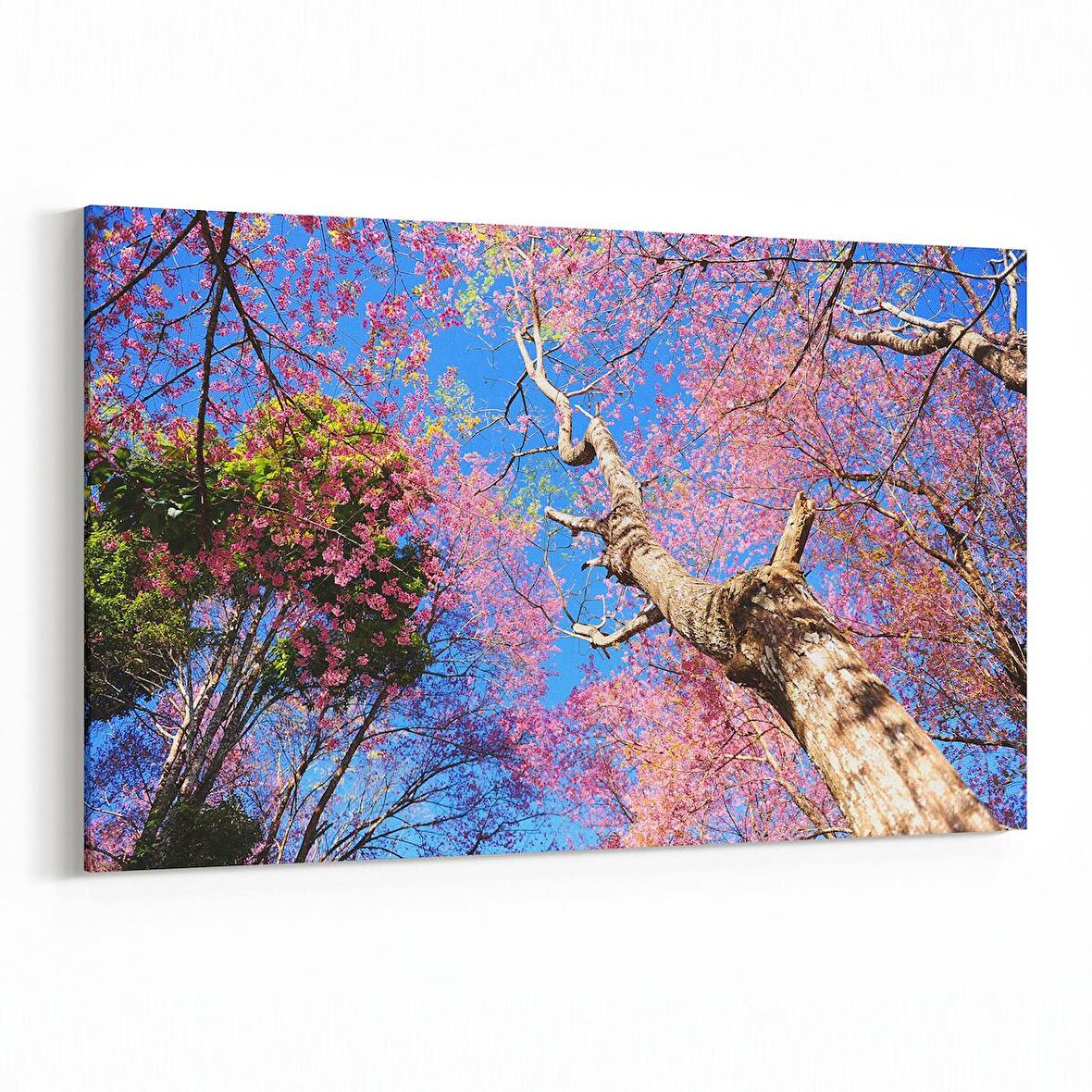 Olla 11047Y Ağaç Görseli Yatay Kanvas Tablo (Ölçü: 150X100)