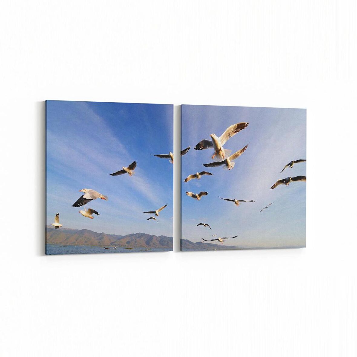 Olla 15824K2Y Gökyüzü Kuşlar Görseli Kare 2'li Yatay Kanvas Tablo (Ölçü: 145X70)