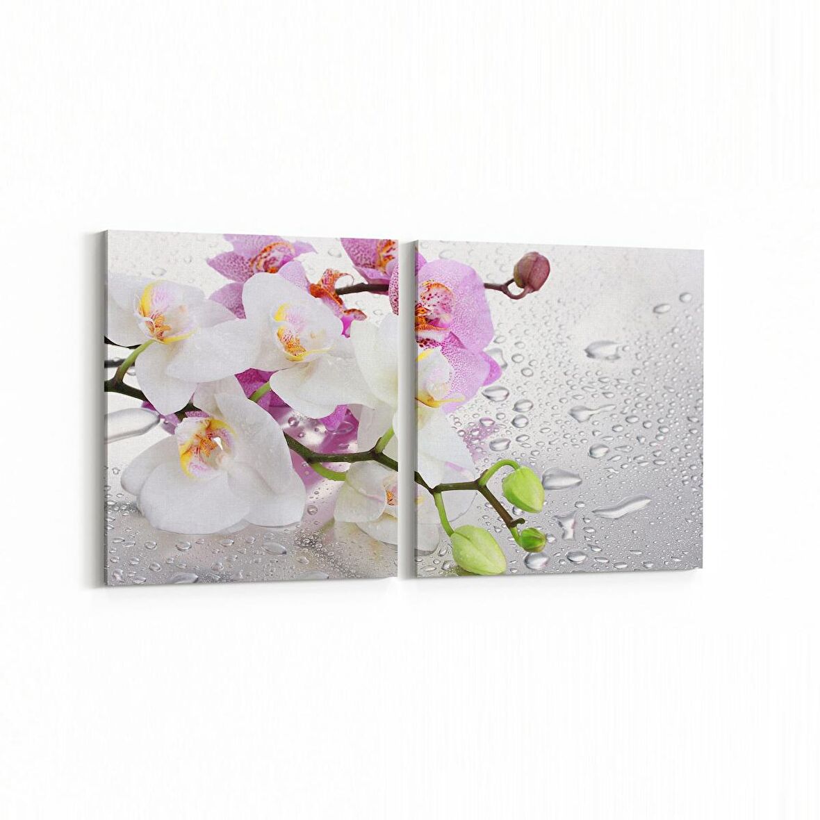 Olla 11670K2Y Orkide Çiçek Görseli 2'li Yatay Kanvas Tablo (Ölçü: 145X70)