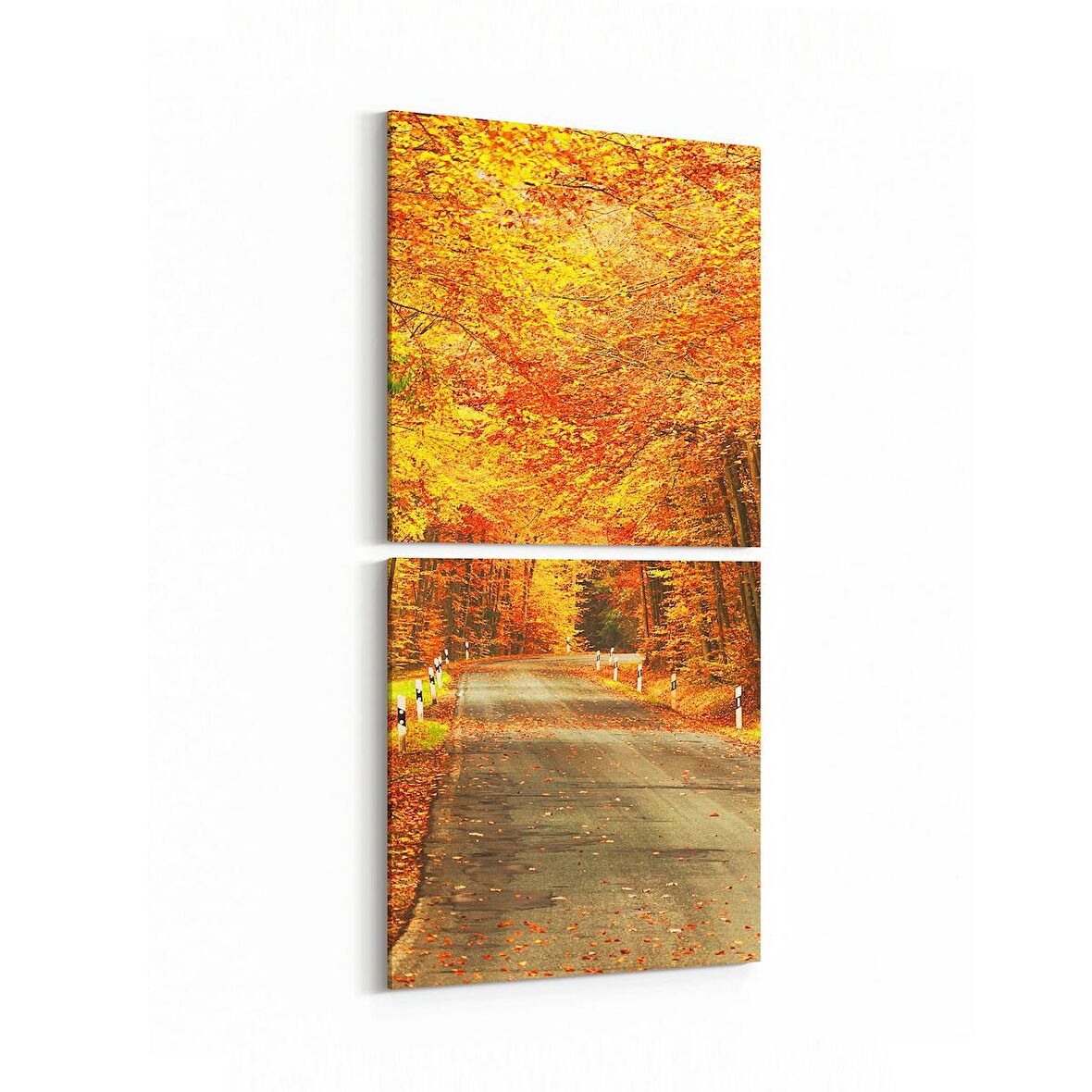 Olla 13597K2D Doğa / Manzara Görseli Kare 2'li Dikey Kanvas Tablo (Ölçü: 30X65)