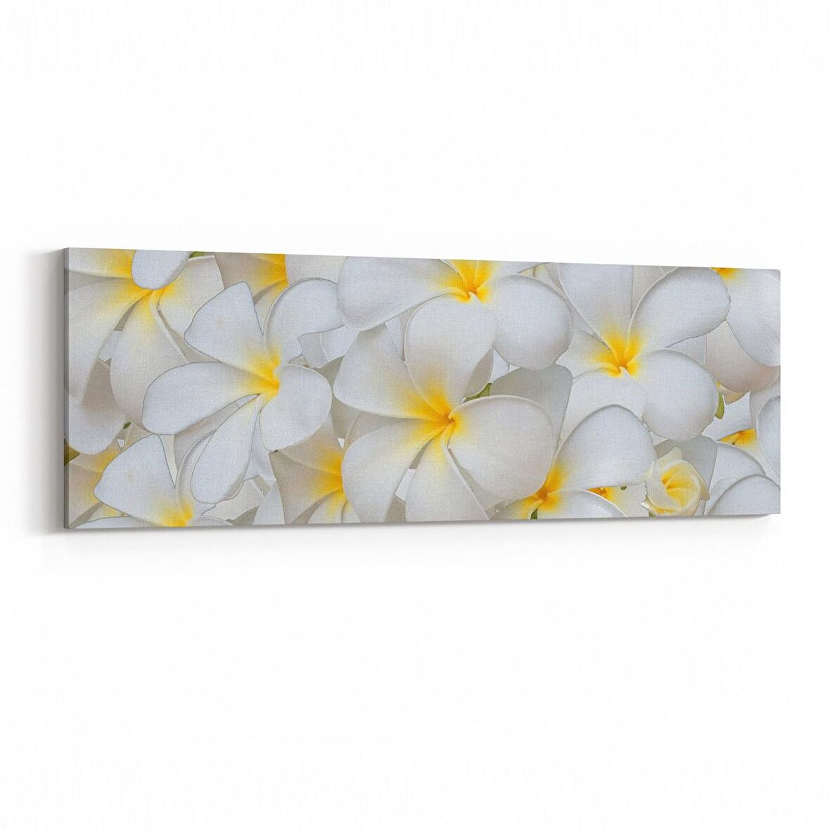 Olla 11633YI Çiçek Görseli Yatay İnce Kanvas Tablo (Ölçü: 90X30)