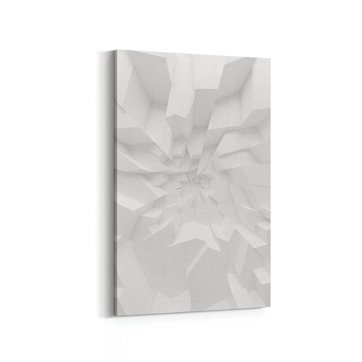 Olla 10454D Beyaz Kabartma Görseli Dikey Kanvas Tablo (Ölçü: 60X90)