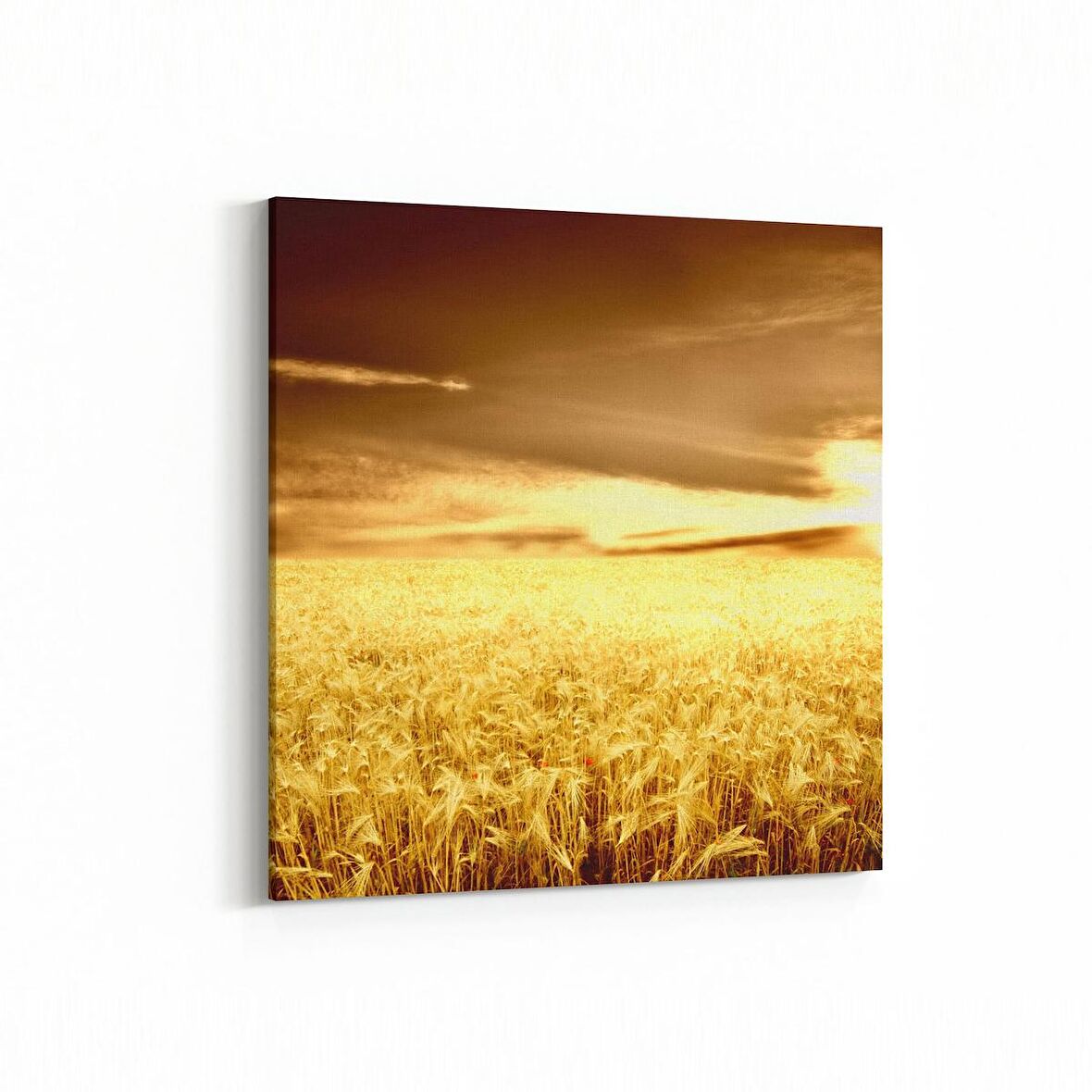 Olla 15895K Günbatımı Görseli Kare Kanvas Tablo (Ölçü: 25X25)