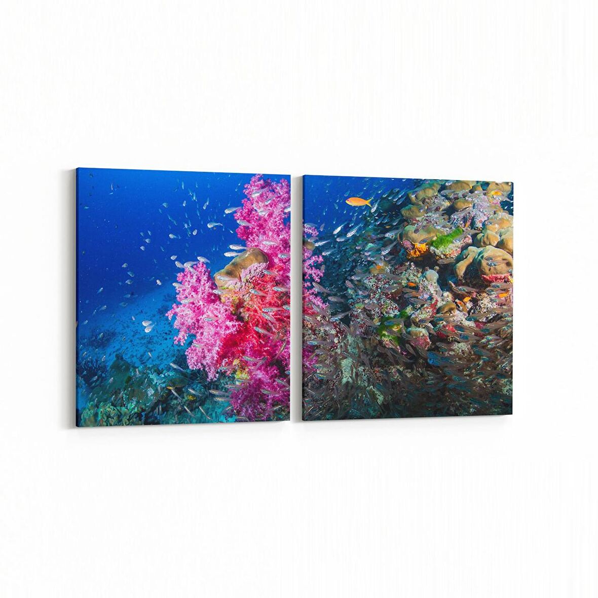 Olla 12104K2Y Akvaryum / Balık Görseli Kare 2'li Yatay Kanvas Tablo (Ölçü: 145X70)