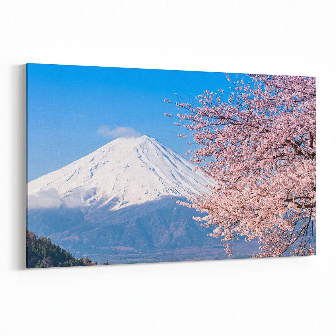 Olla 13606Y Doğa / Manzara Görseli Yatay Kanvas Tablo (Ölçü: 120X80)