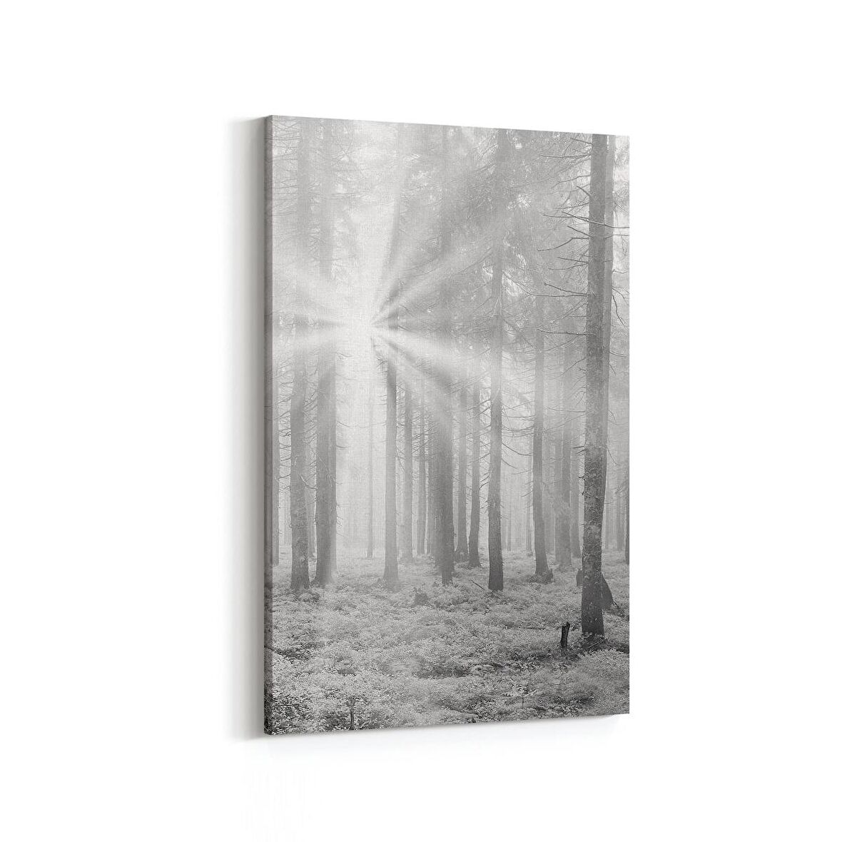 Olla 13760D Doğa / Manzara Görseli Dikey Kanvas Tablo (Ölçü: 100X150)