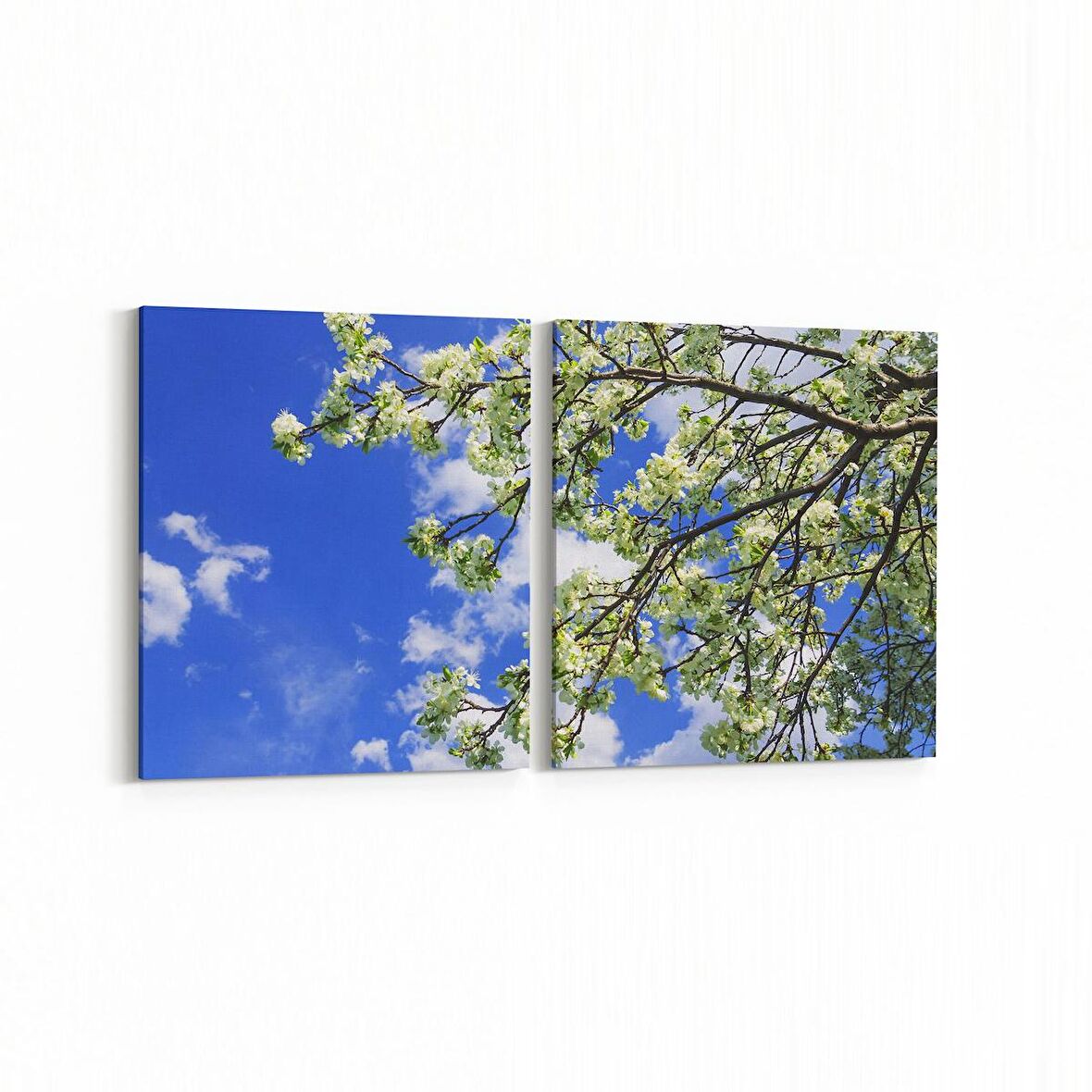 Olla 10679K2Y Ağaç Görseli Kare 2'li Yatay Kanvas Tablo (Ölçü: 125X60)