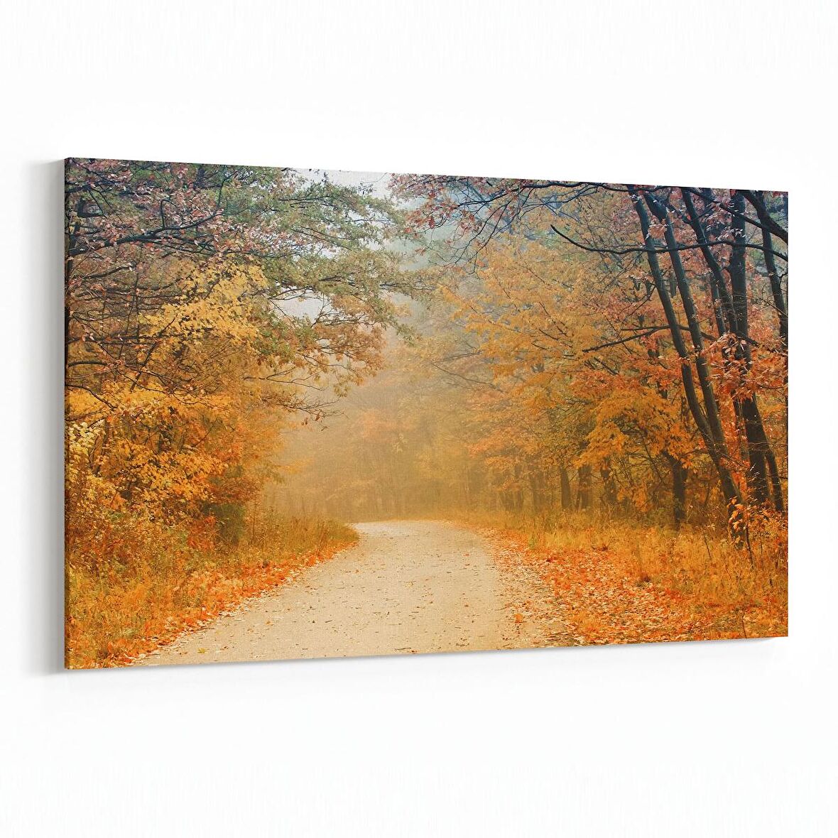 Olla 14094Y Doğa / Manzara Görseli Yatay Kanvas Tablo (Ölçü: 70X50)