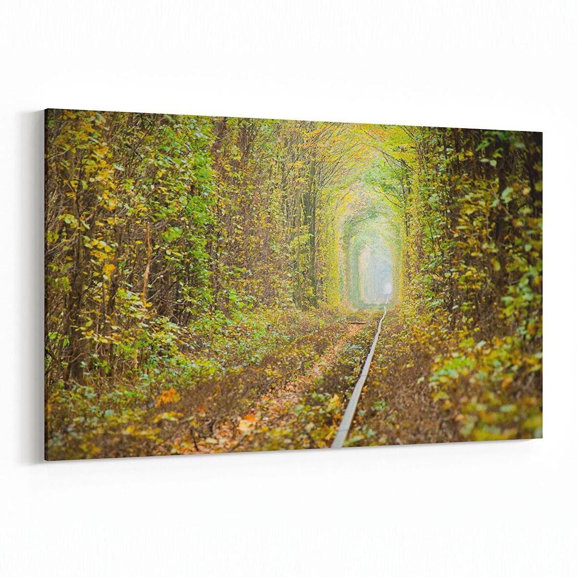 Olla 13405Y Doğa / Manzara Görseli Yatay Kanvas Tablo (Ölçü: 150X100)