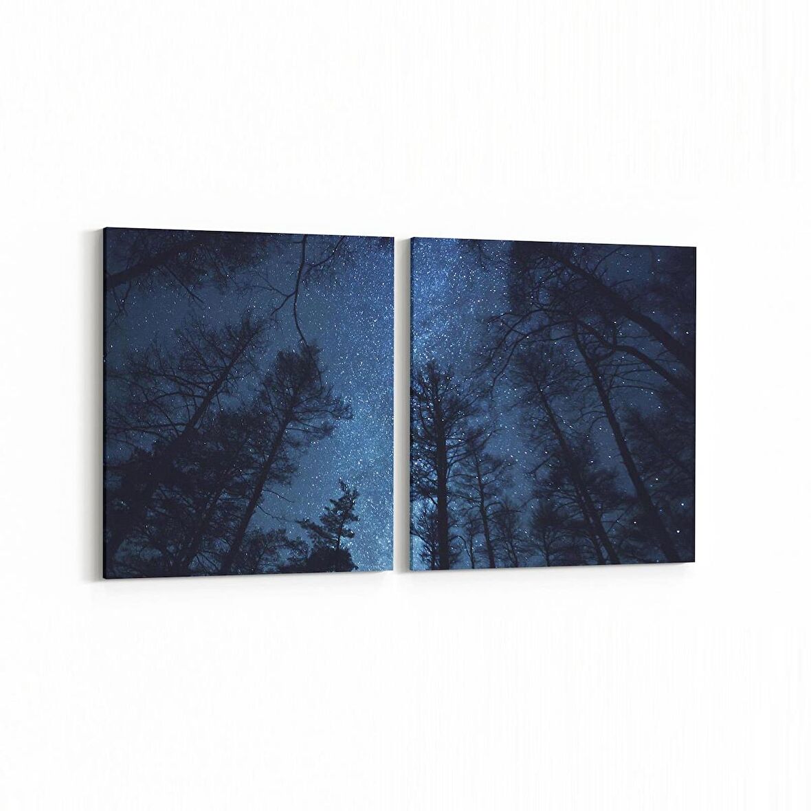 Olla 14678K2Y Gece Gökyüzü Görseli Kare 2'li Yatay Kanvas Tablo (Ölçü: 65X30)