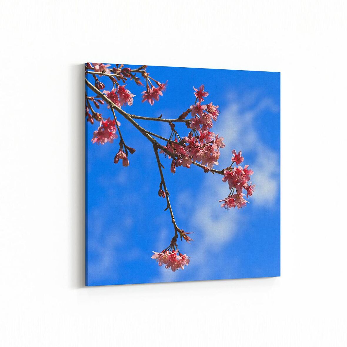 Olla 10539K Ağaç Görseli Kare Kanvas Tablo (Ölçü: 25X25)