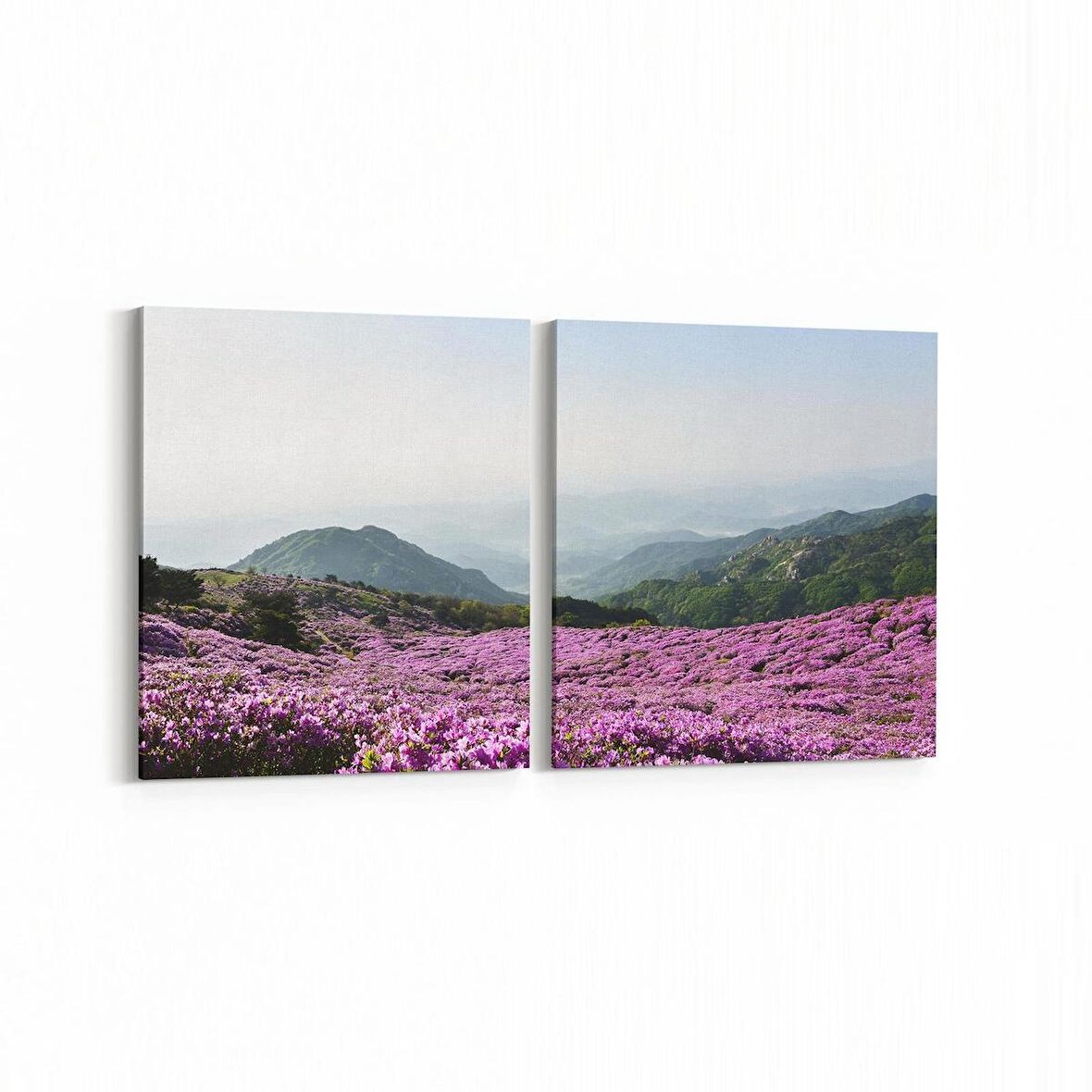 Olla 14397K2Y Doğa / Manzara Görseli Kare 2'li Yatay Kanvas Tablo (Ölçü: 125X60)