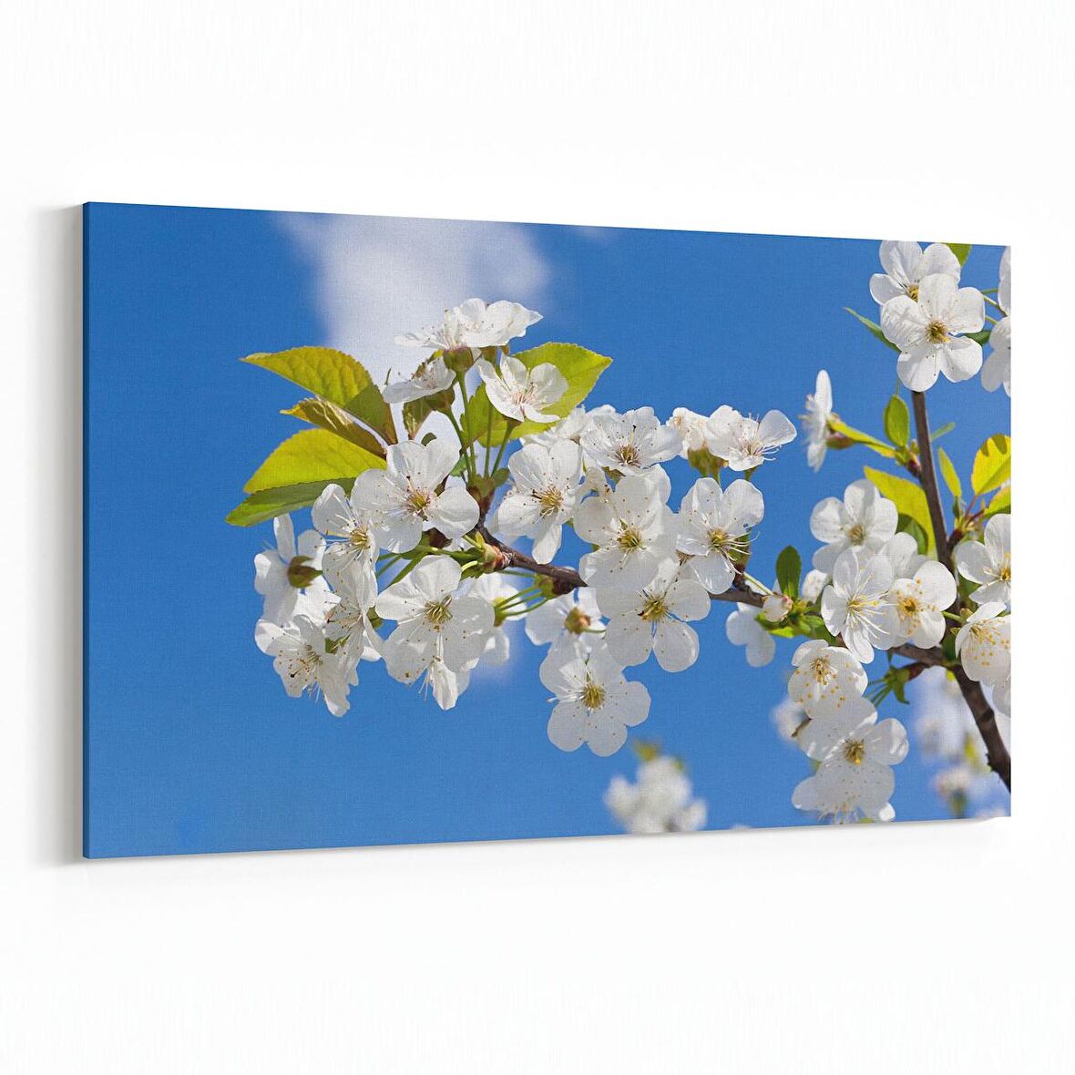 Olla 10678Y Ağaç Görseli Yatay Kanvas Tablo (Ölçü: 30X20)