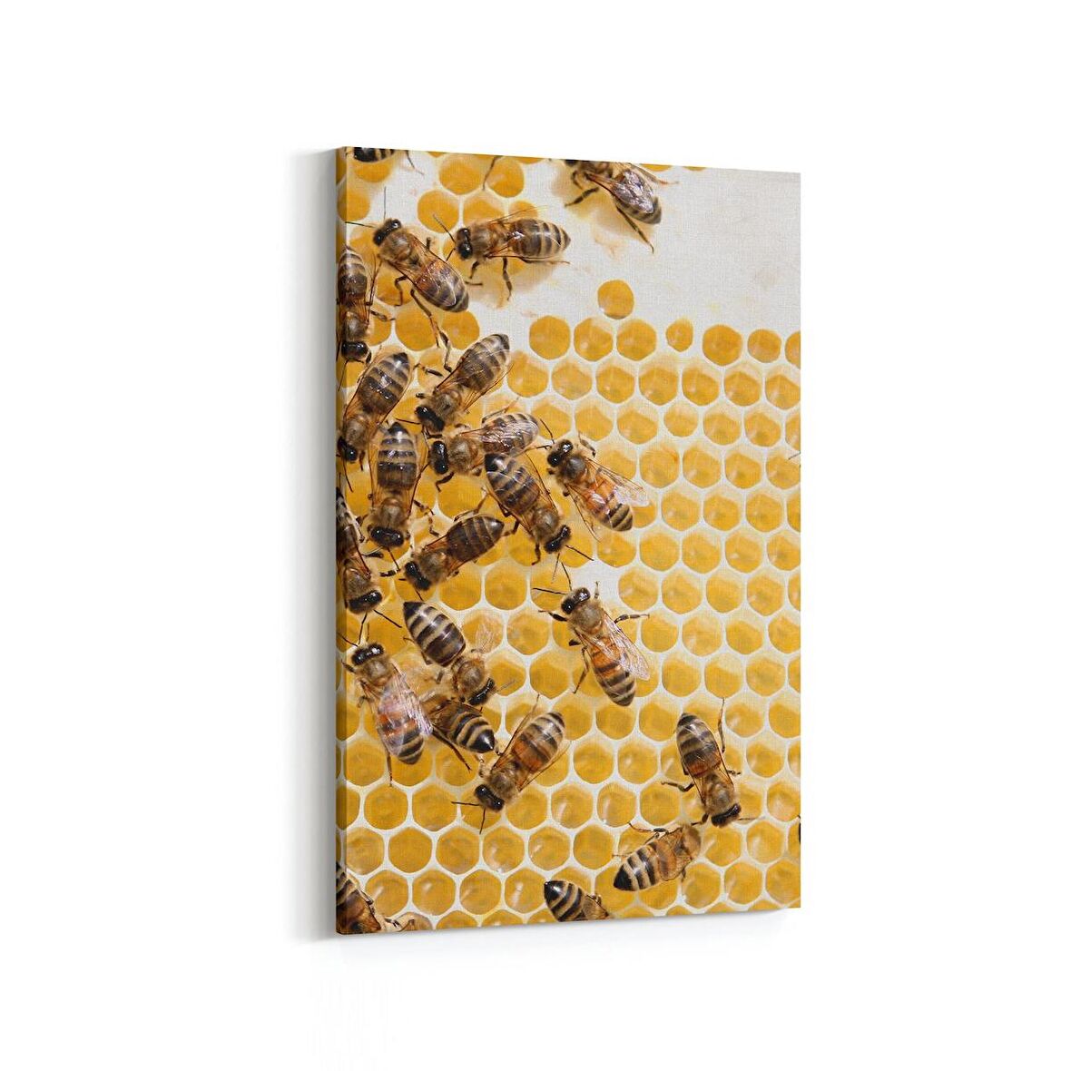 Olla 12610D Hayvanlar Alemi Görseli Dikey Kanvas Tablo (Ölçü: 100X150)