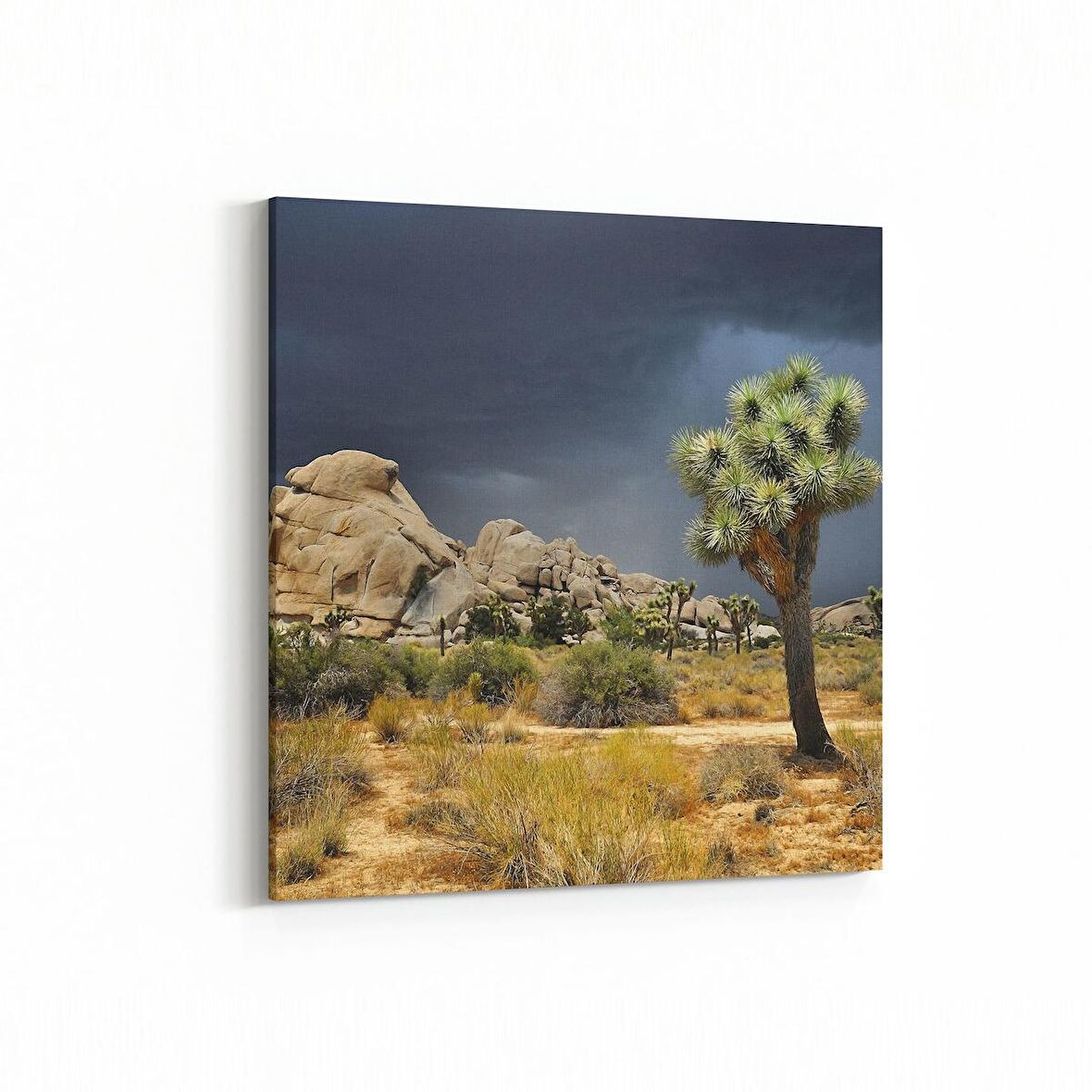 Olla 14571K Doğa / Manzara Görseli Kare Kanvas Tablo (Ölçü: 25X25)